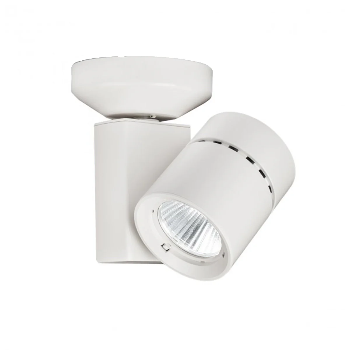 1023 Exterminator II 80CRI Adjustable Outdoor Spot Light - Image 4