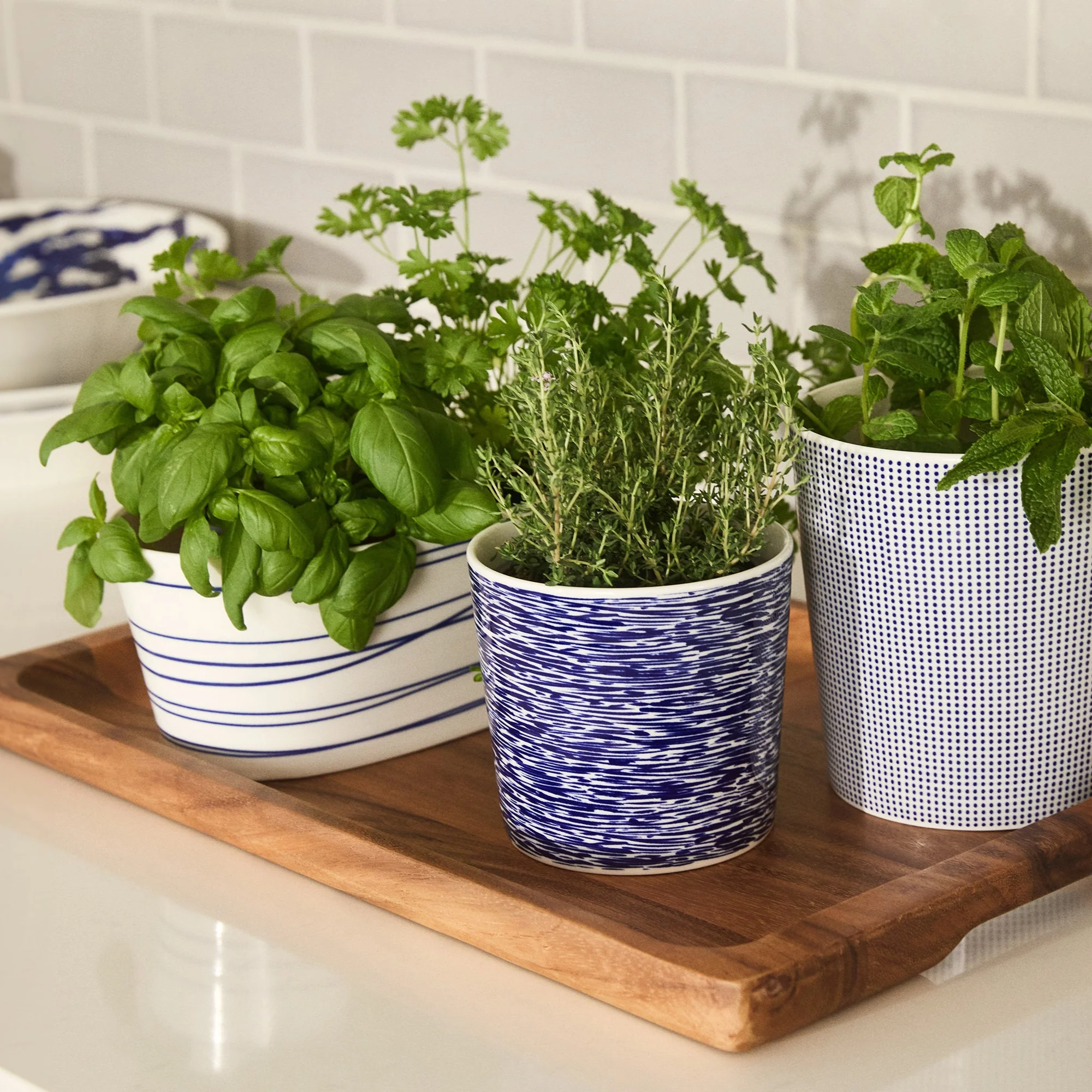 1815 Pacific Trough Planter - Image 6