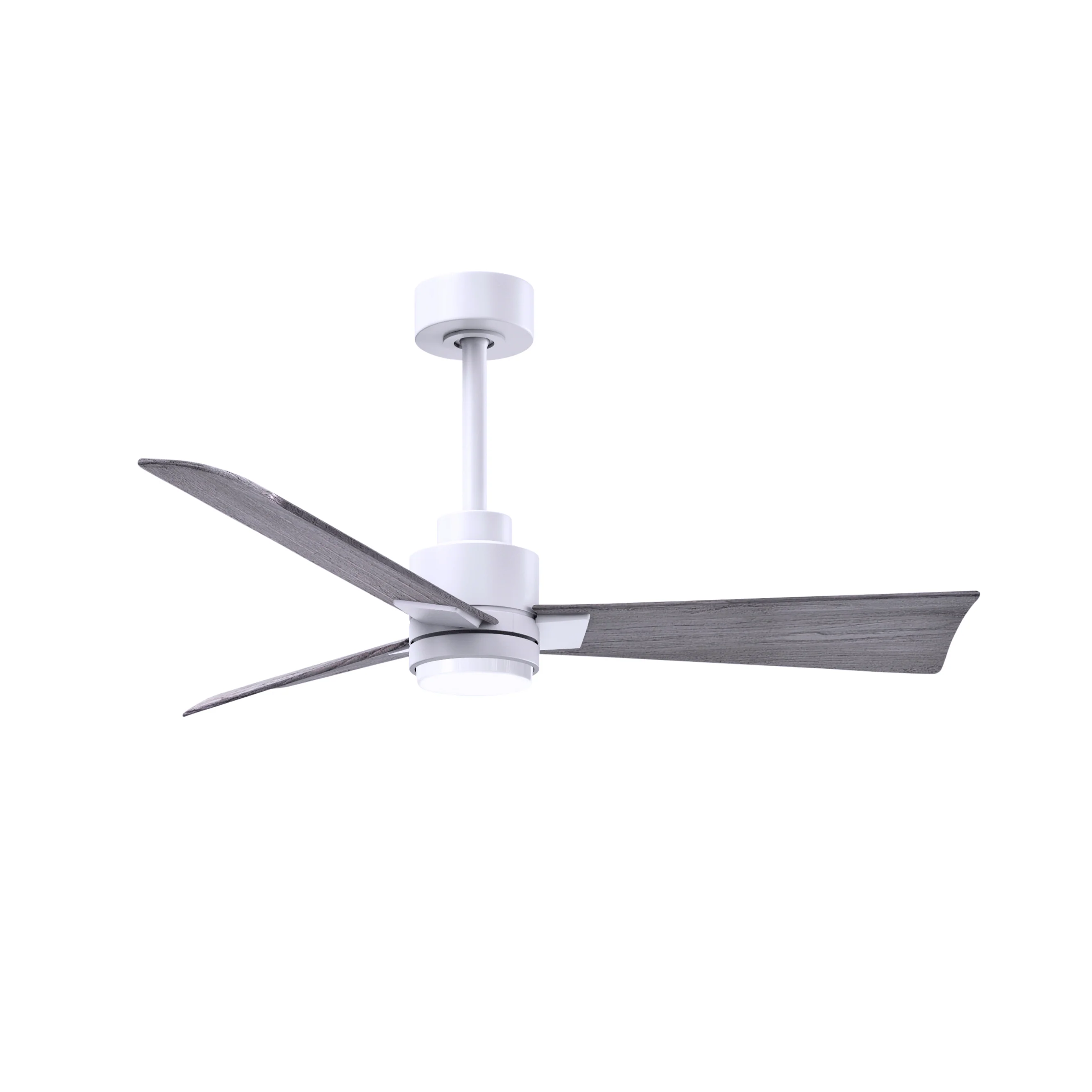 Alessandra Outdoor Ceiling Fan with Light - Image 80