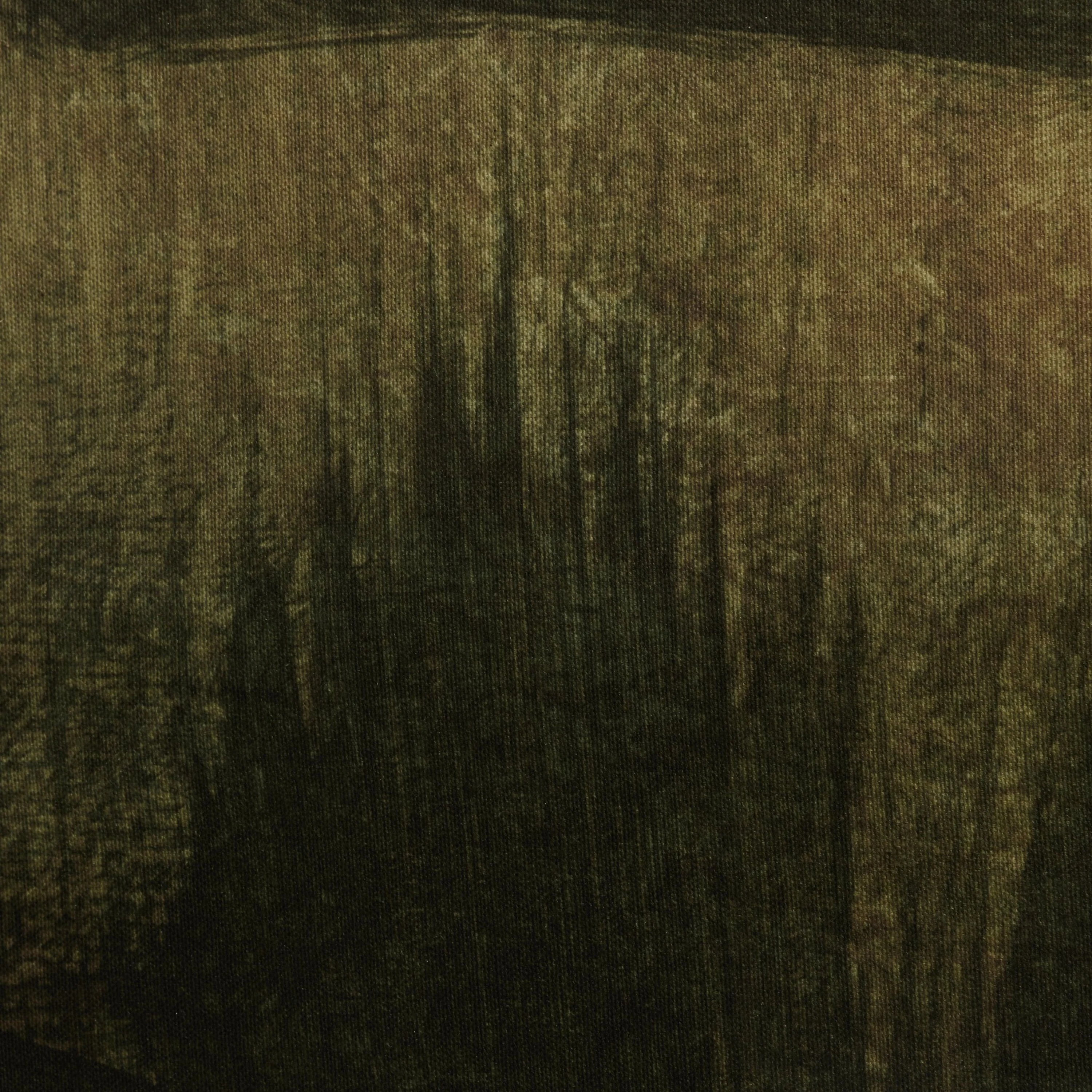 Amber Lewis x Four Hands Lands 2 by Dan Hobday Wall Art - Image 7