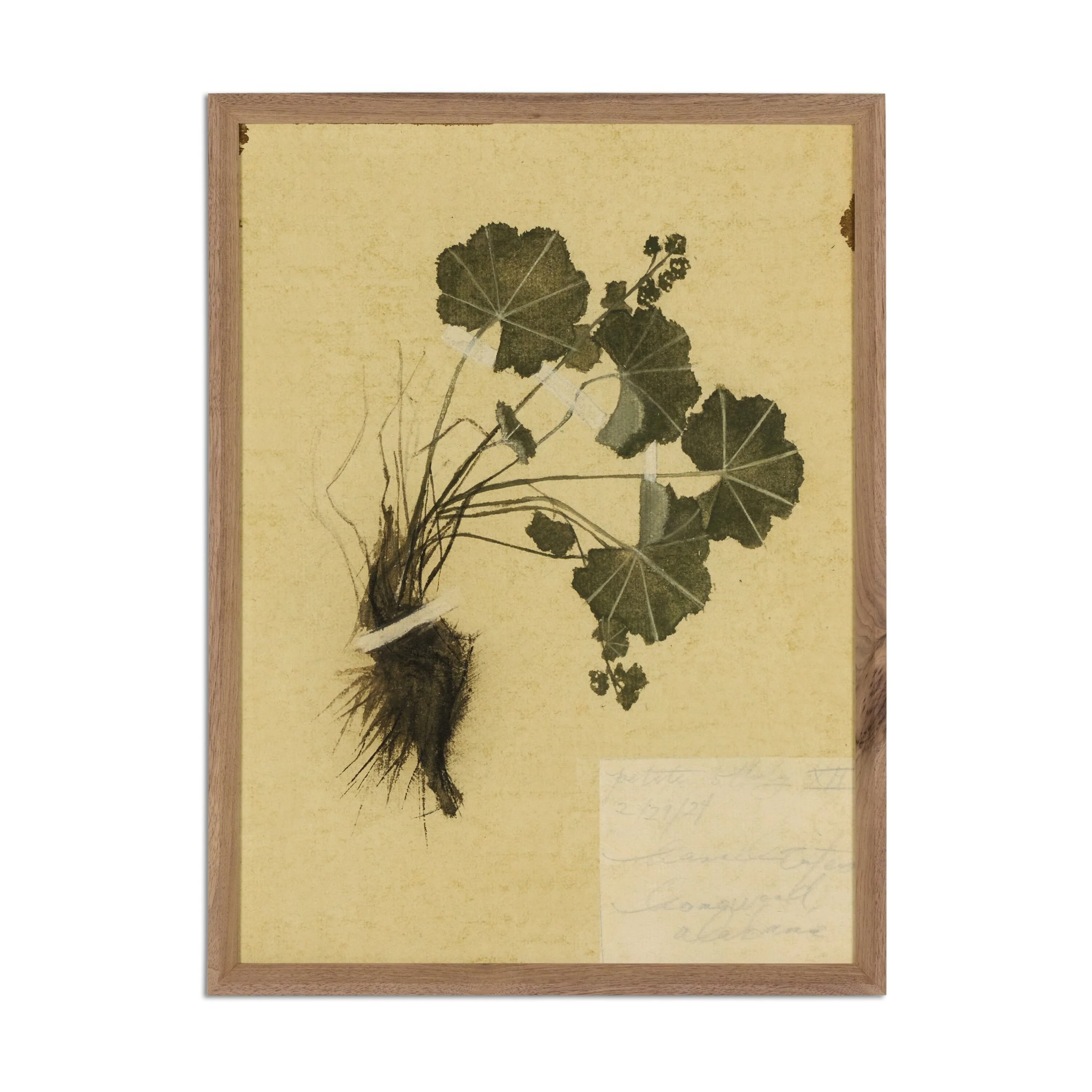 Amber Lewis x Four Hands Petite Study Triptych by Hannah Winters Wall Art Set - Image 4