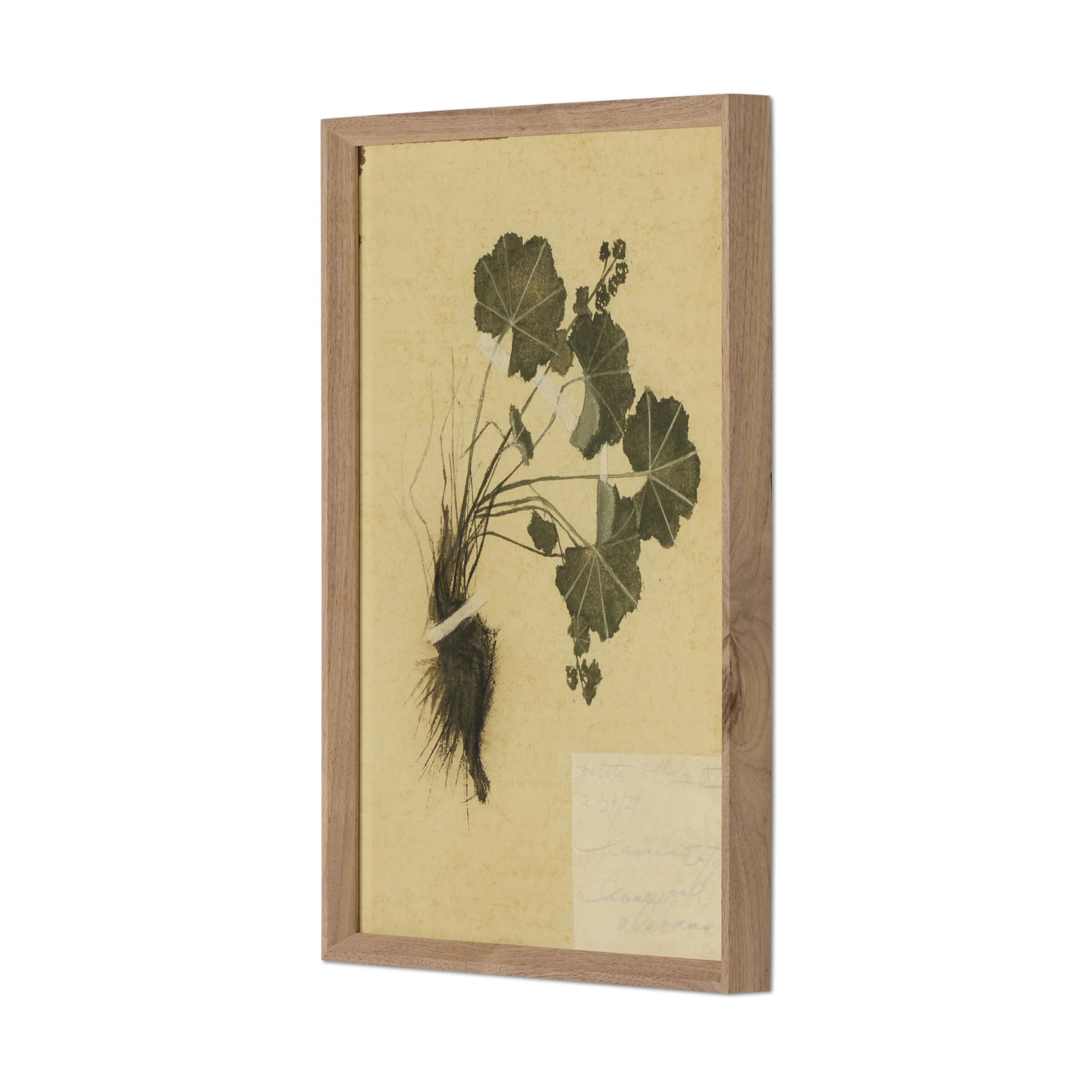 Amber Lewis x Four Hands Petite Study Triptych by Hannah Winters Wall Art Set - Image 5