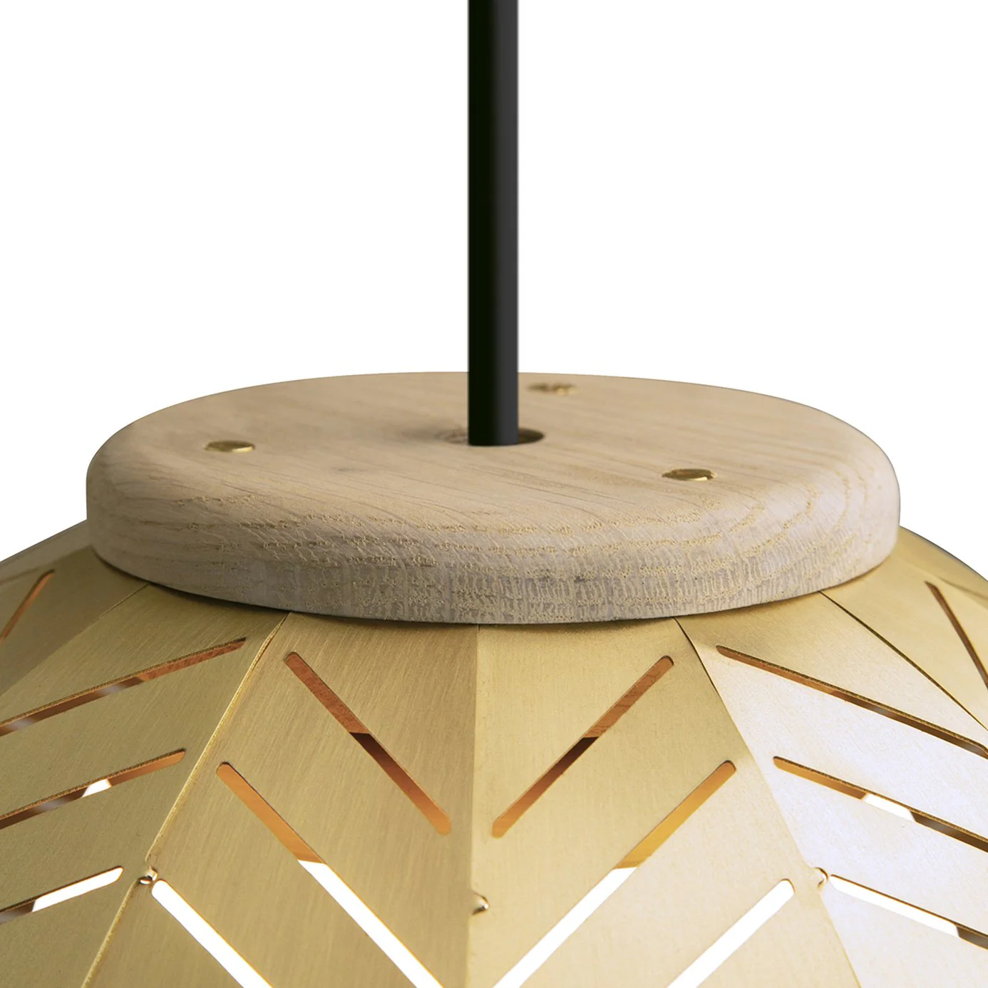 Amicus 12 Pendant Light - Image 5