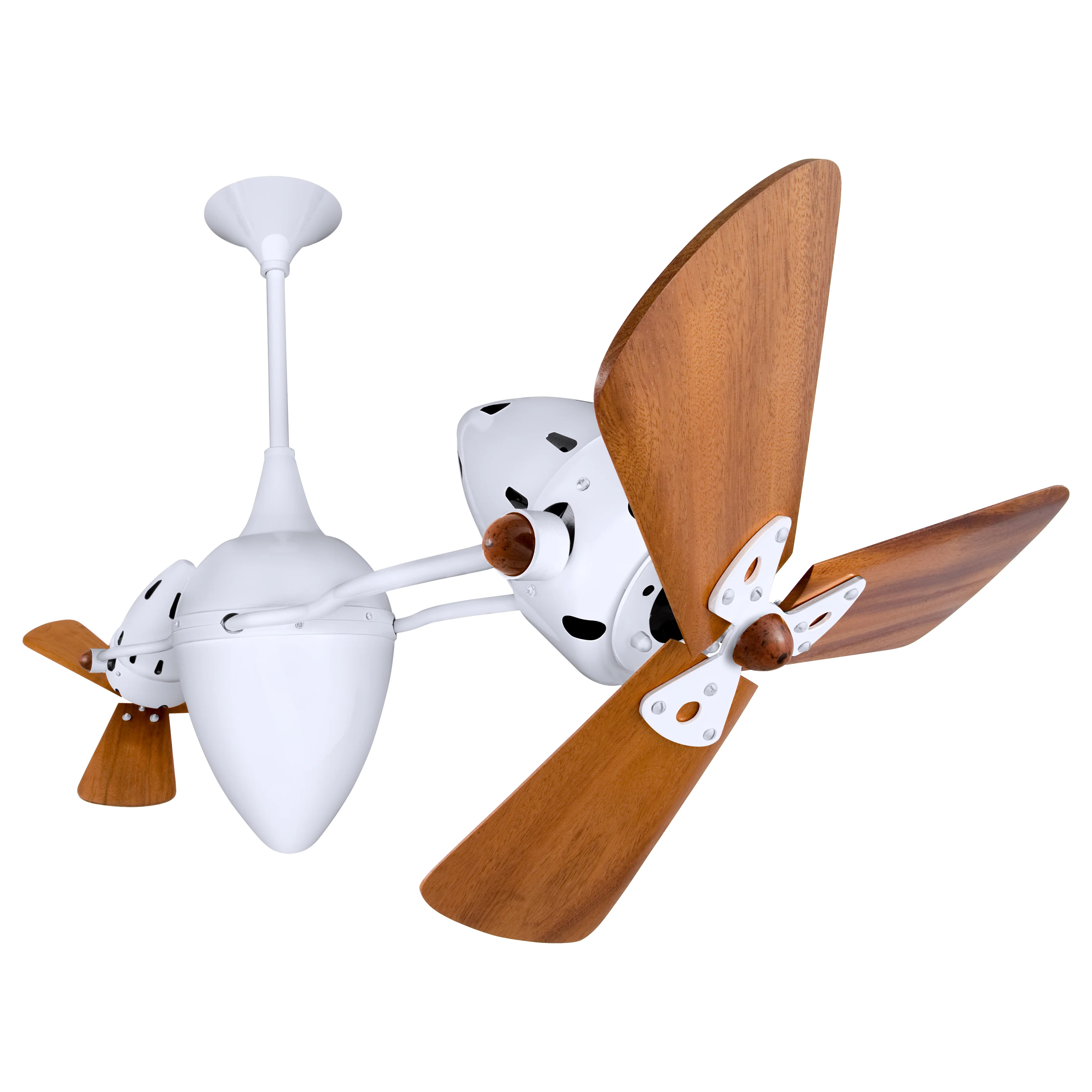 Ar Ruthiane Fan - Image 21