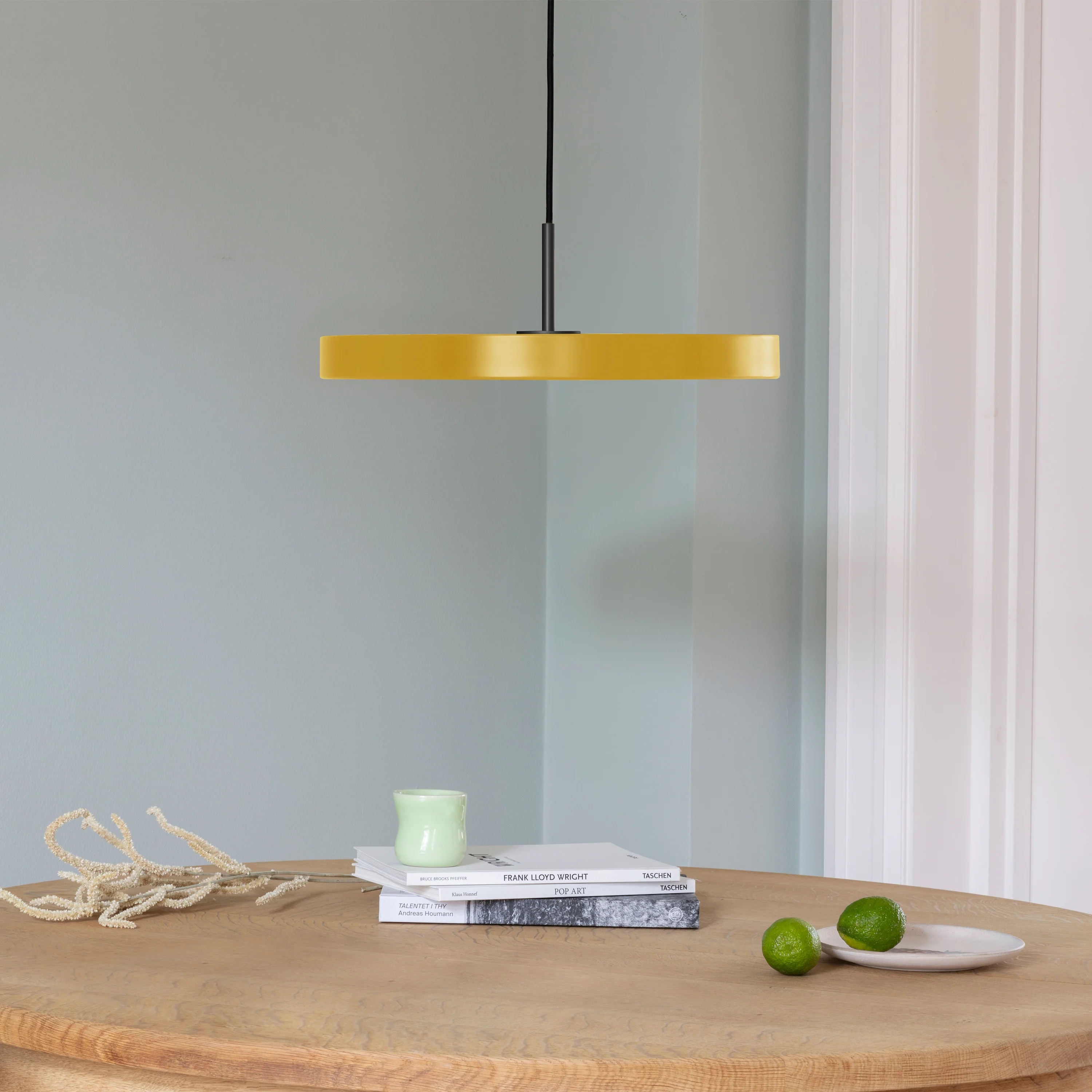 Asteria Pendant Light - Image 54