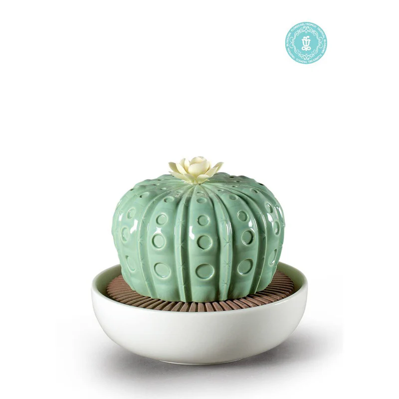 Astrophytum Cactus Diffuser - Image 8
