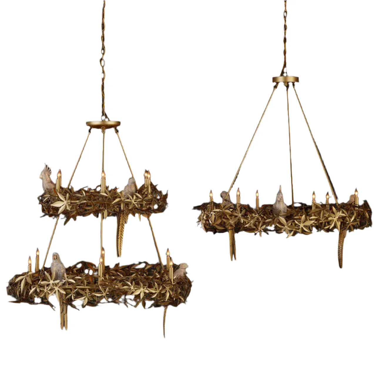 Aviary Chandelier - Image 7