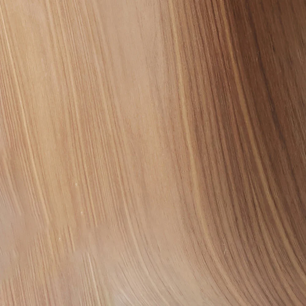 Beetle 3D Veneer Front Upholstered Dining Chair - Image 3