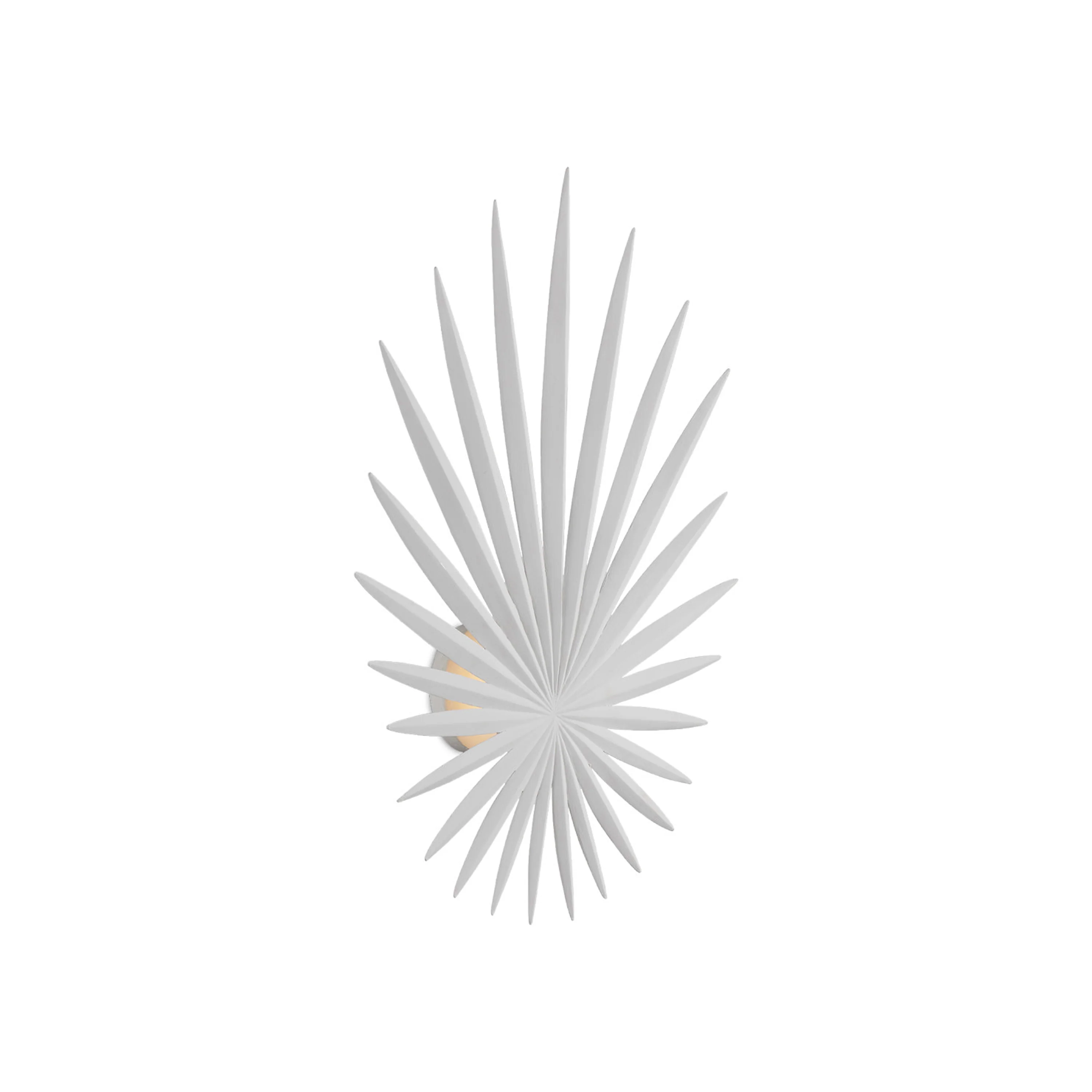 Bismarkia Wall Sconce - Image 4