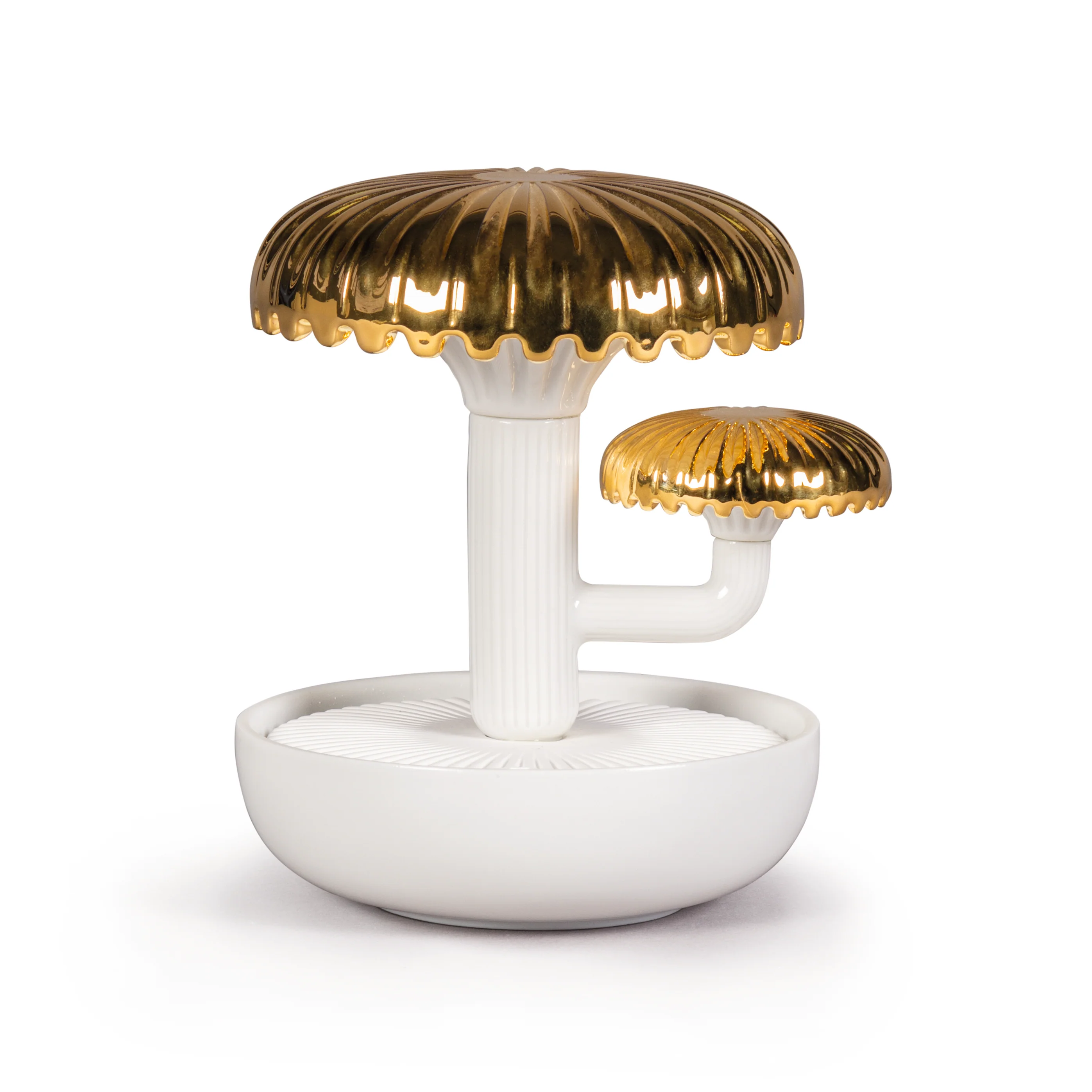 Boletus Diffuser - Image 3