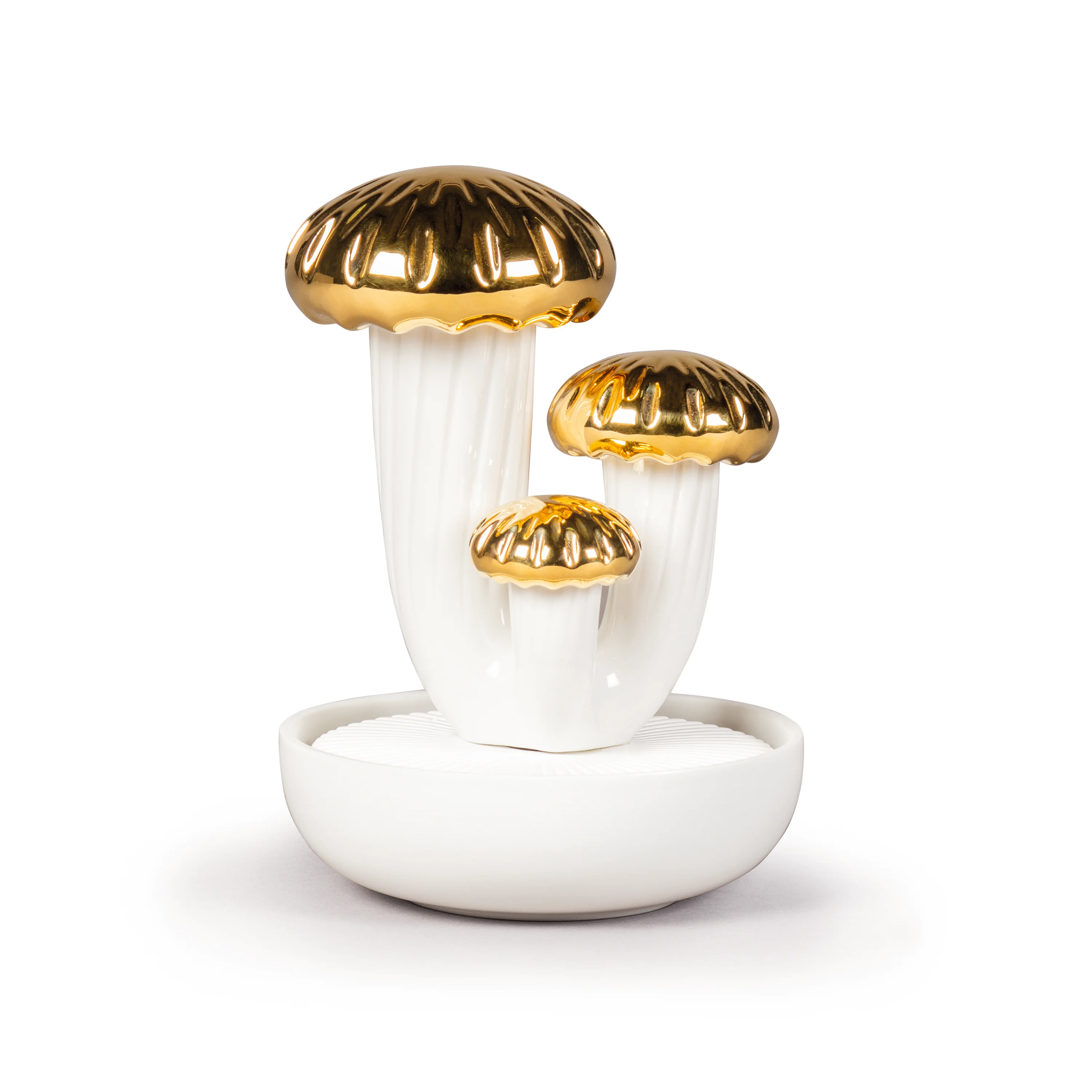 Boletus Diffuser - Image 4