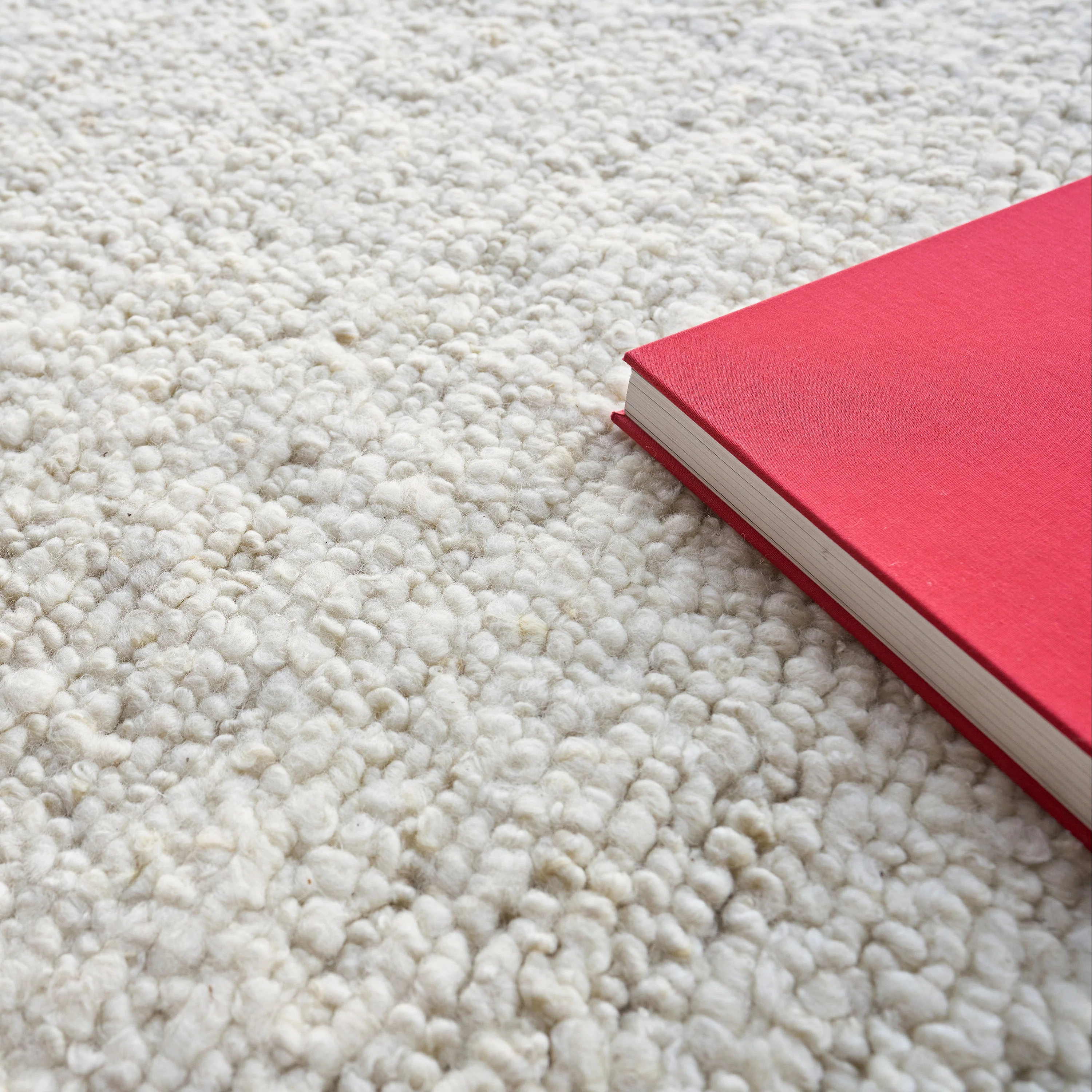 Borelli Area Rug - Image 18