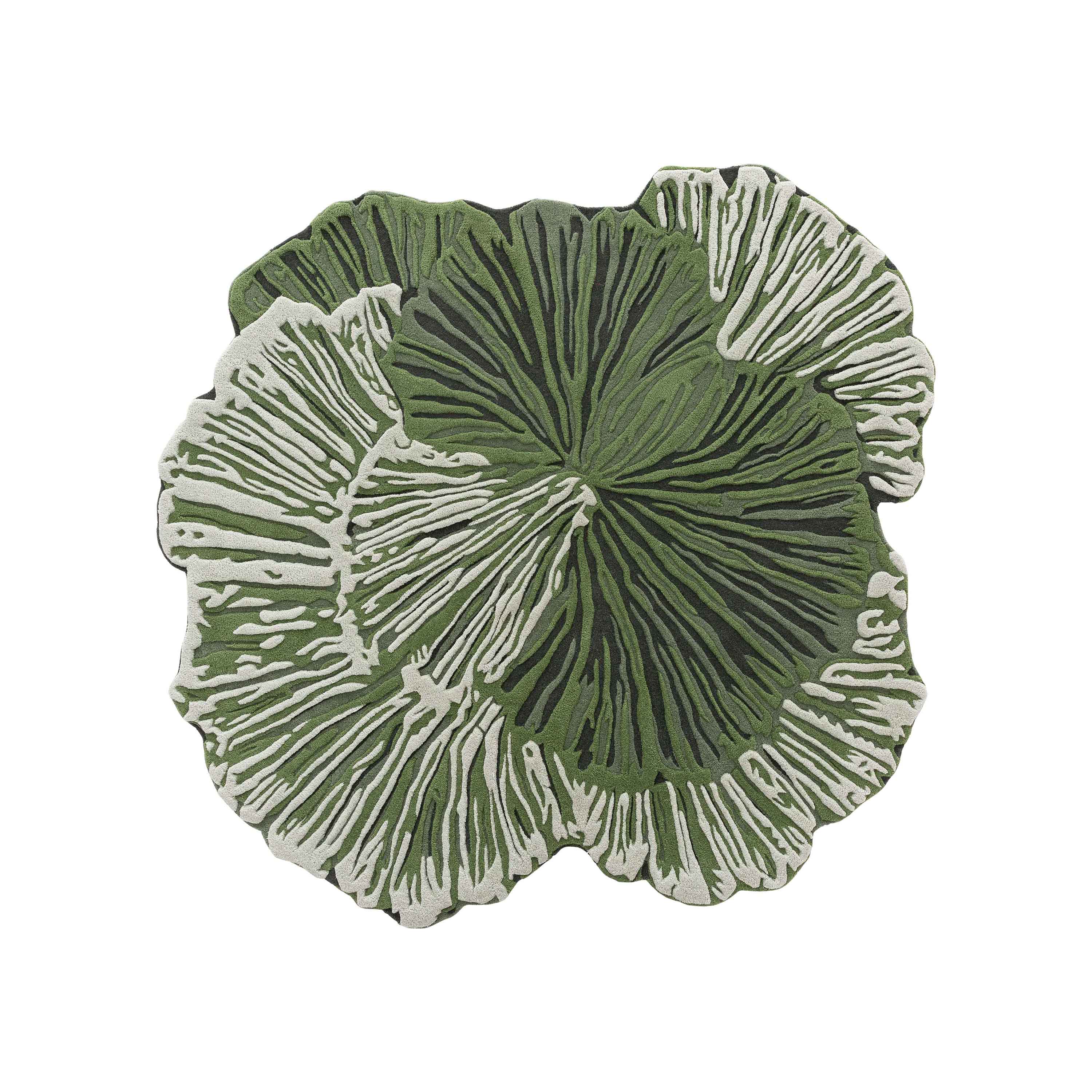 Botanica Rug - Image 5
