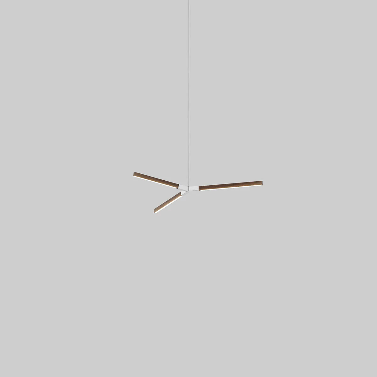 Bough Pendant Light - Image 61