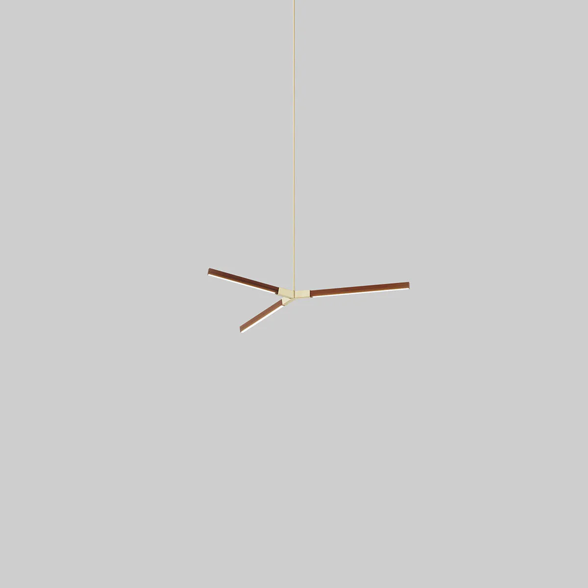 Bough Pendant Light - Image 65