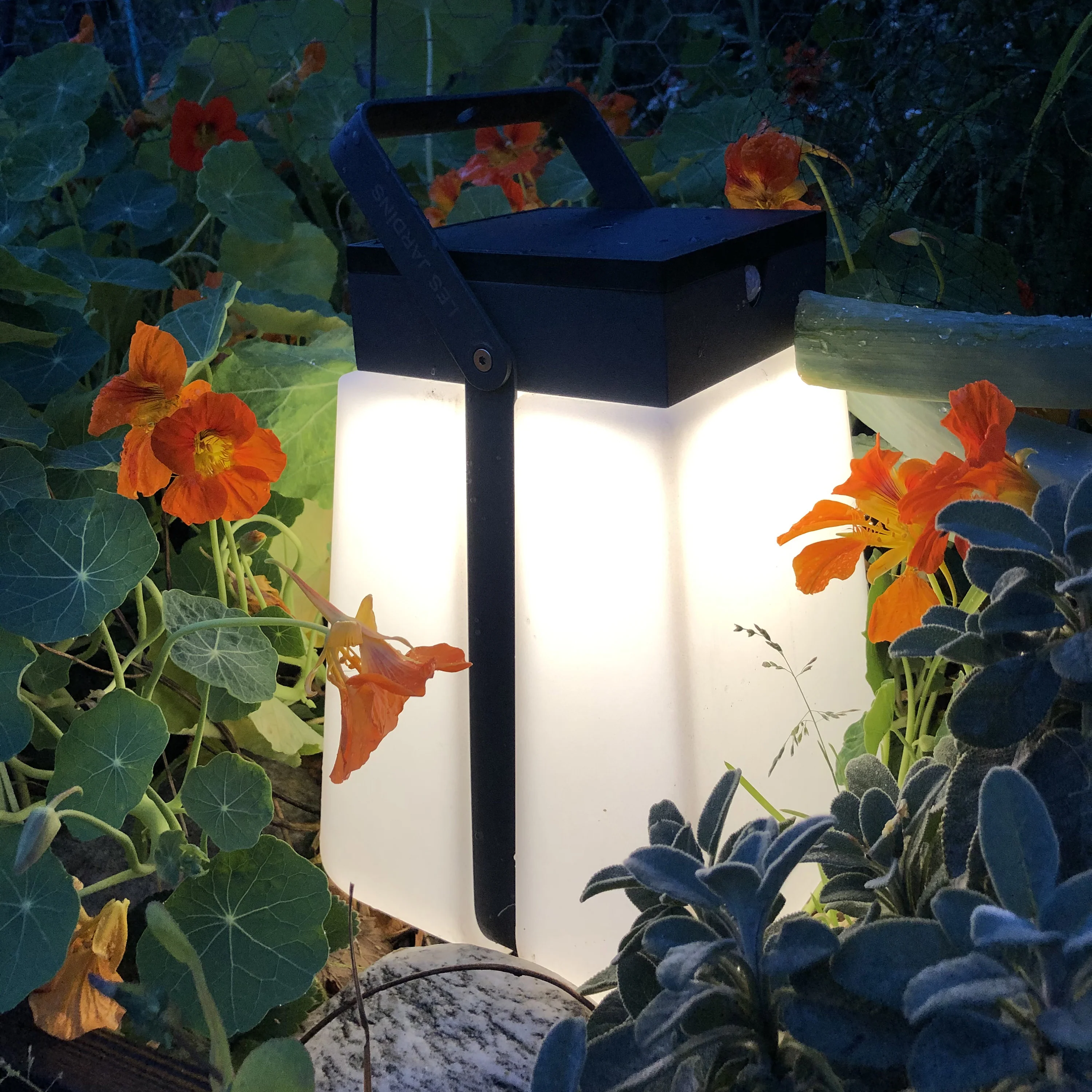 Bump Solar Outdoor Lantern - Image 9