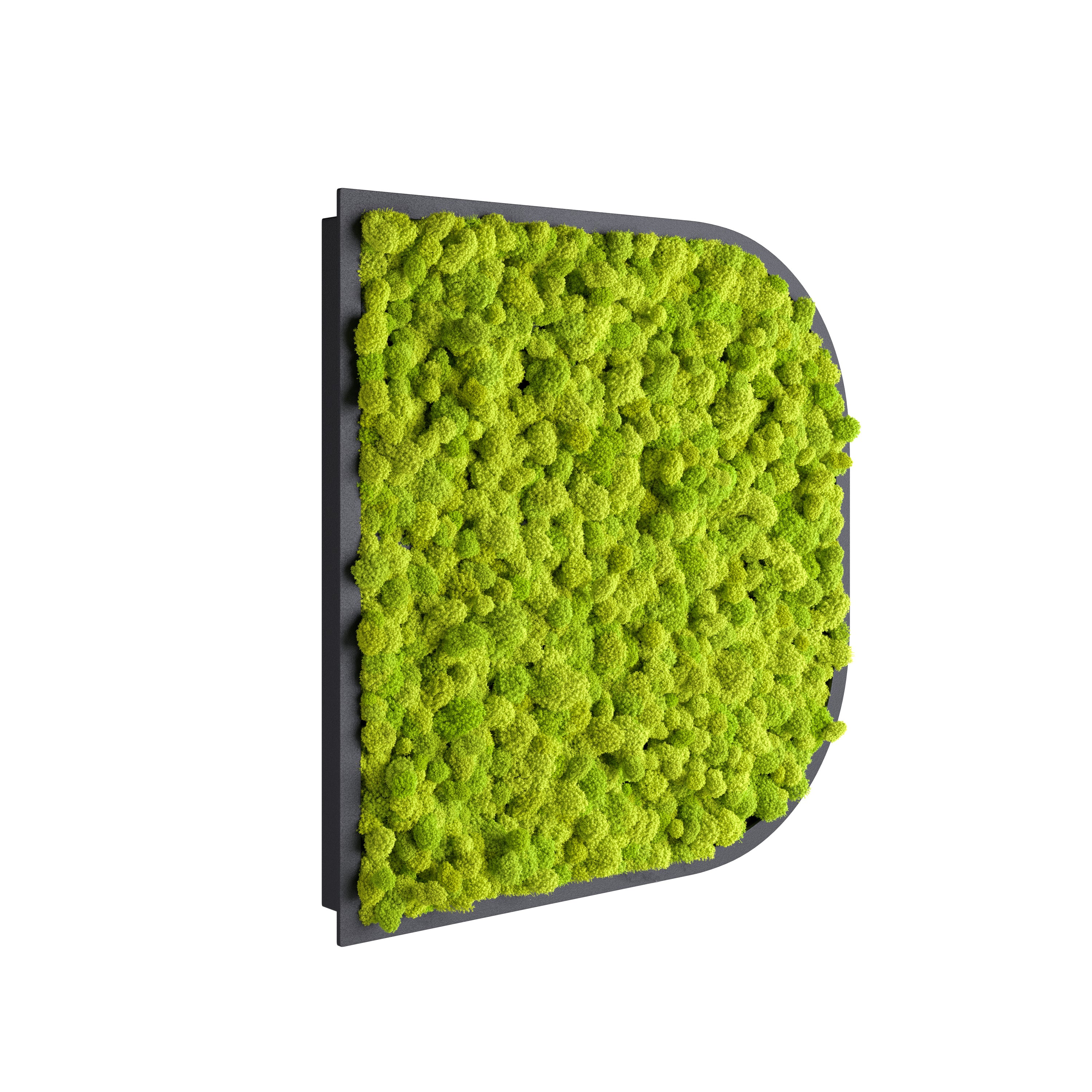 BuzziMood Moss Wall Panel - Image 4