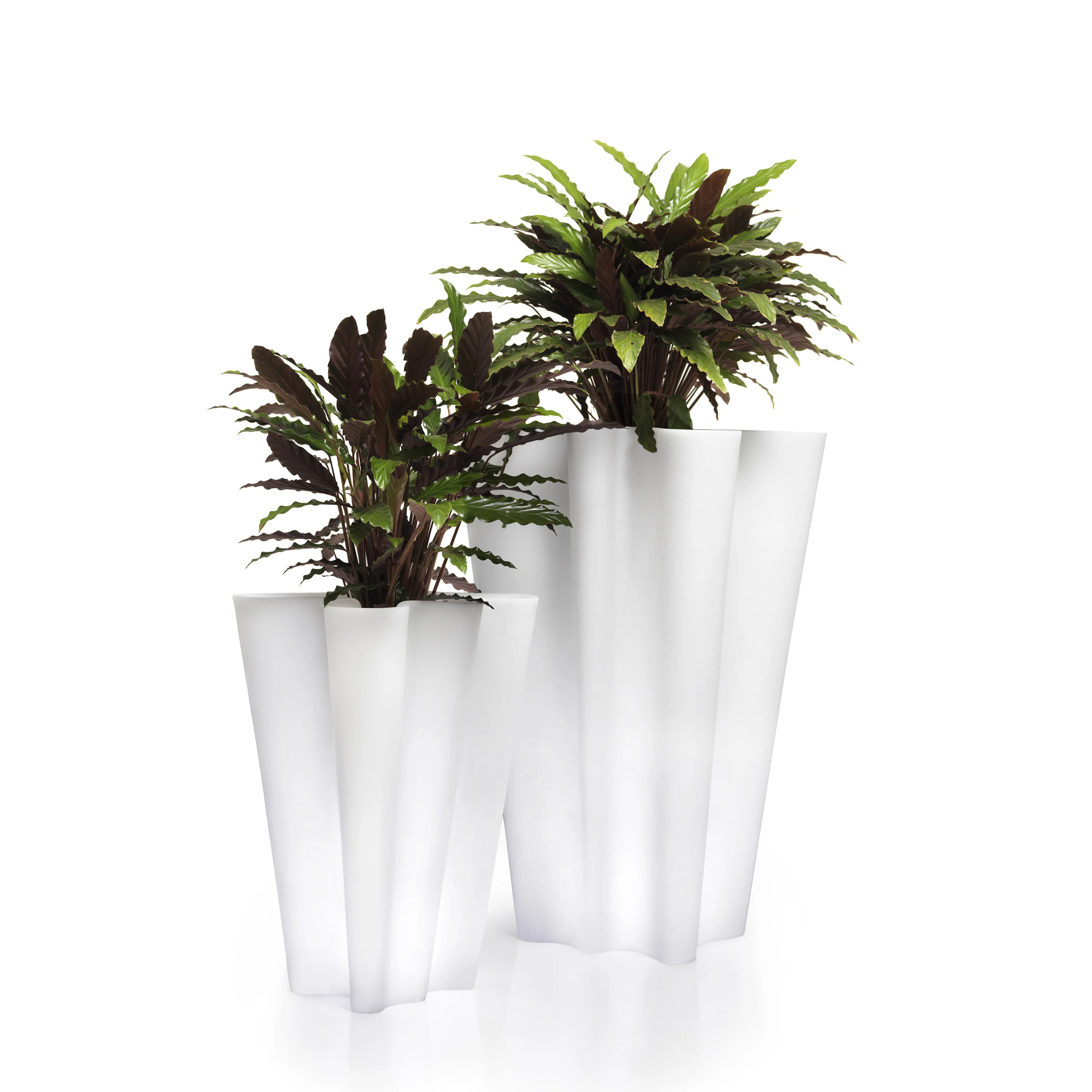 Bye-Bye Planter - Image 17