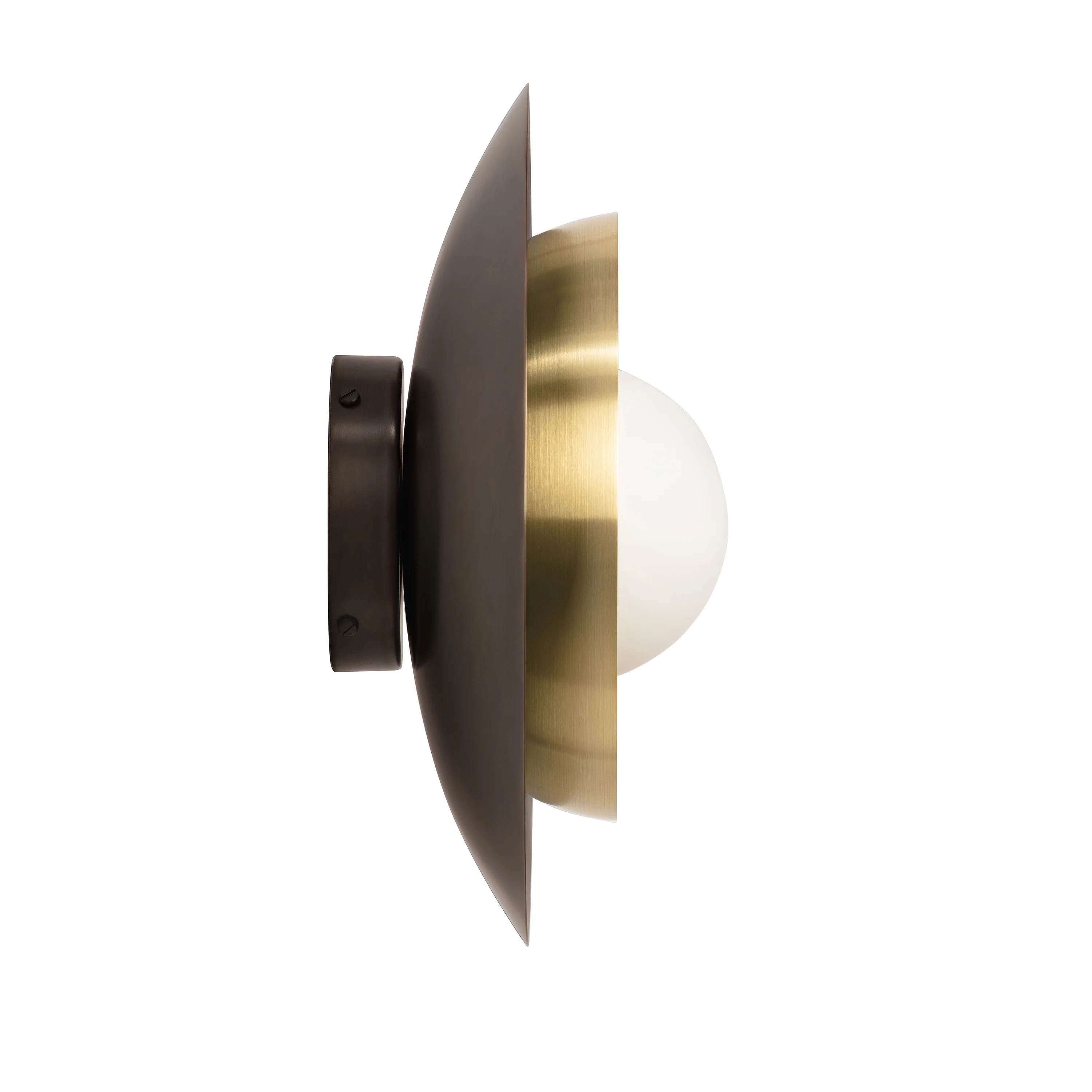 Carapace Wall/Ceiling Light - Image 3