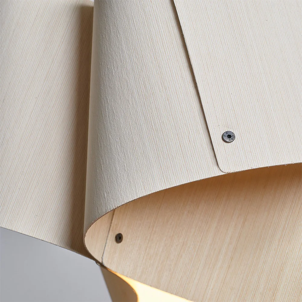 Carlotta Pendant Light - Image 20