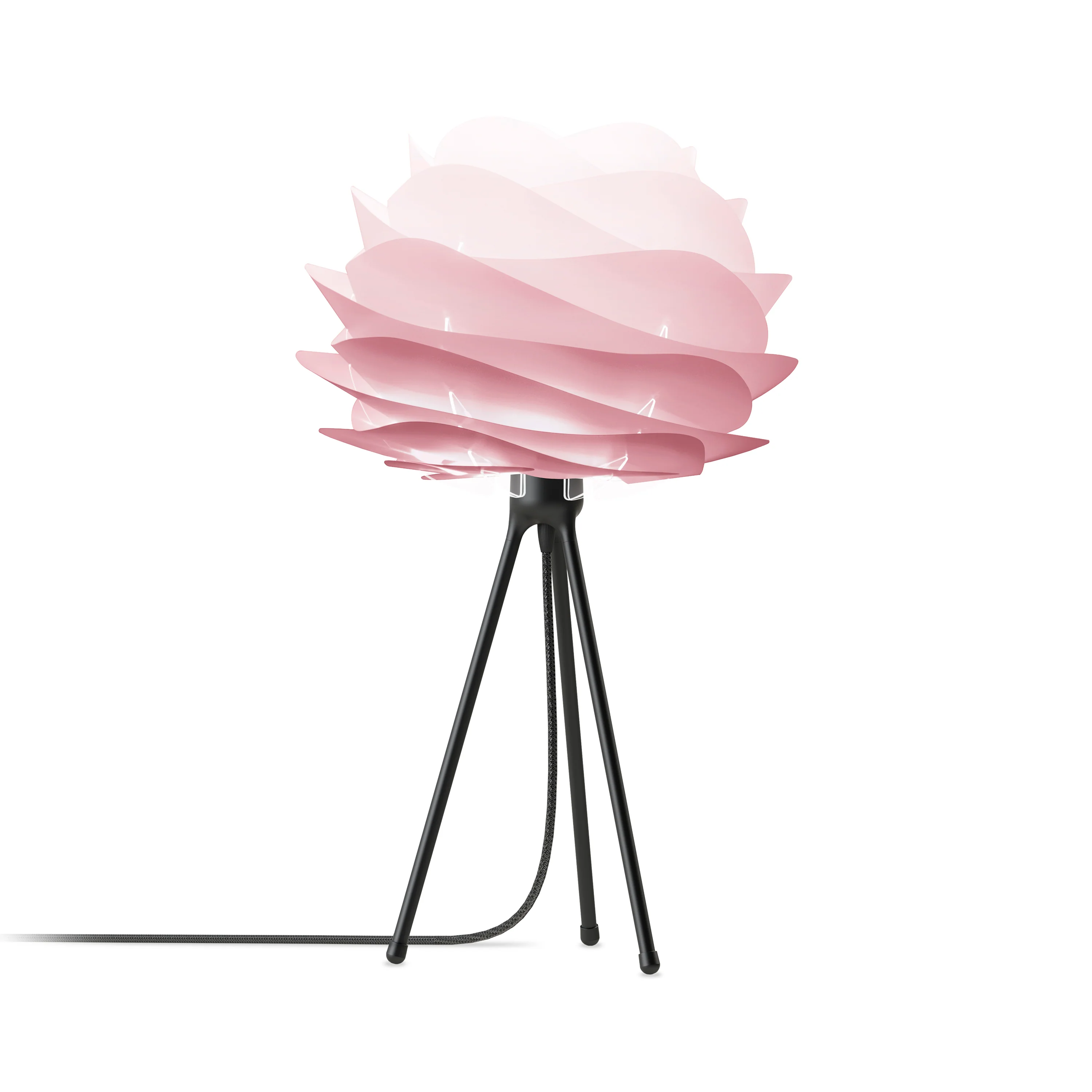 Carmina Table Lamp - Image 11
