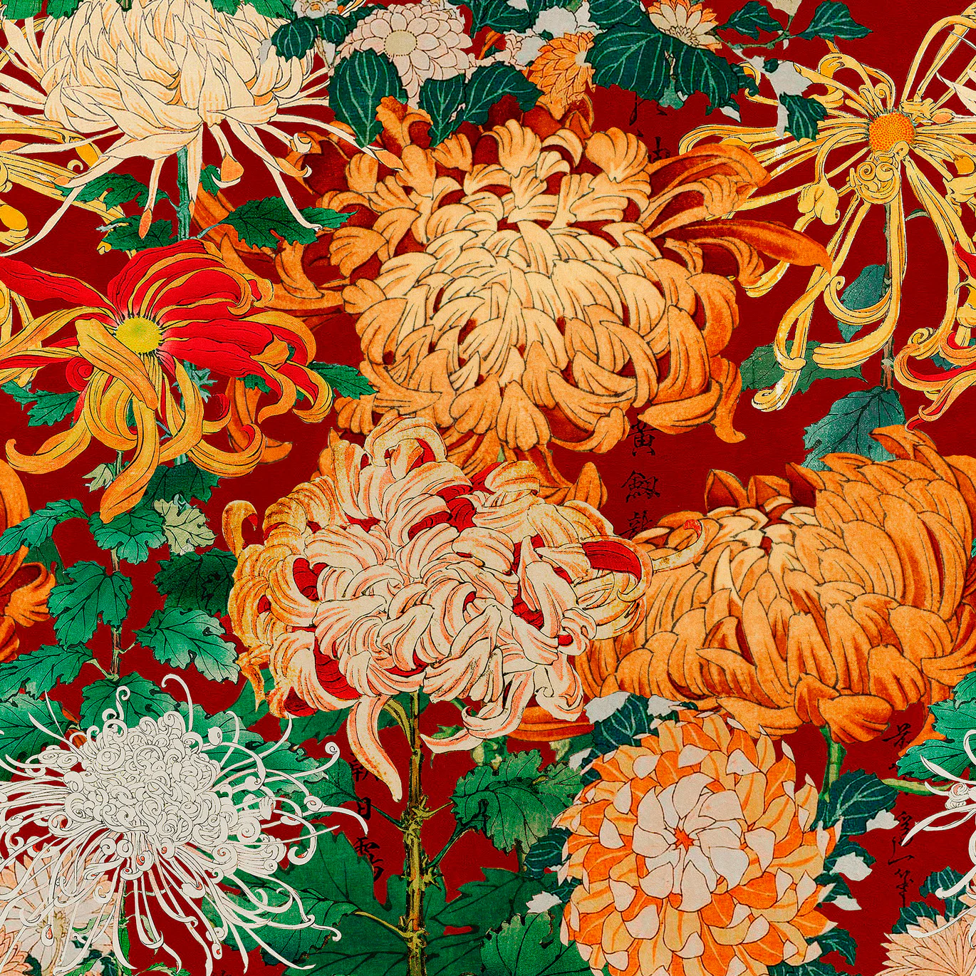 Chrysanthemums Wallpaper Sample Swatch - Image 4