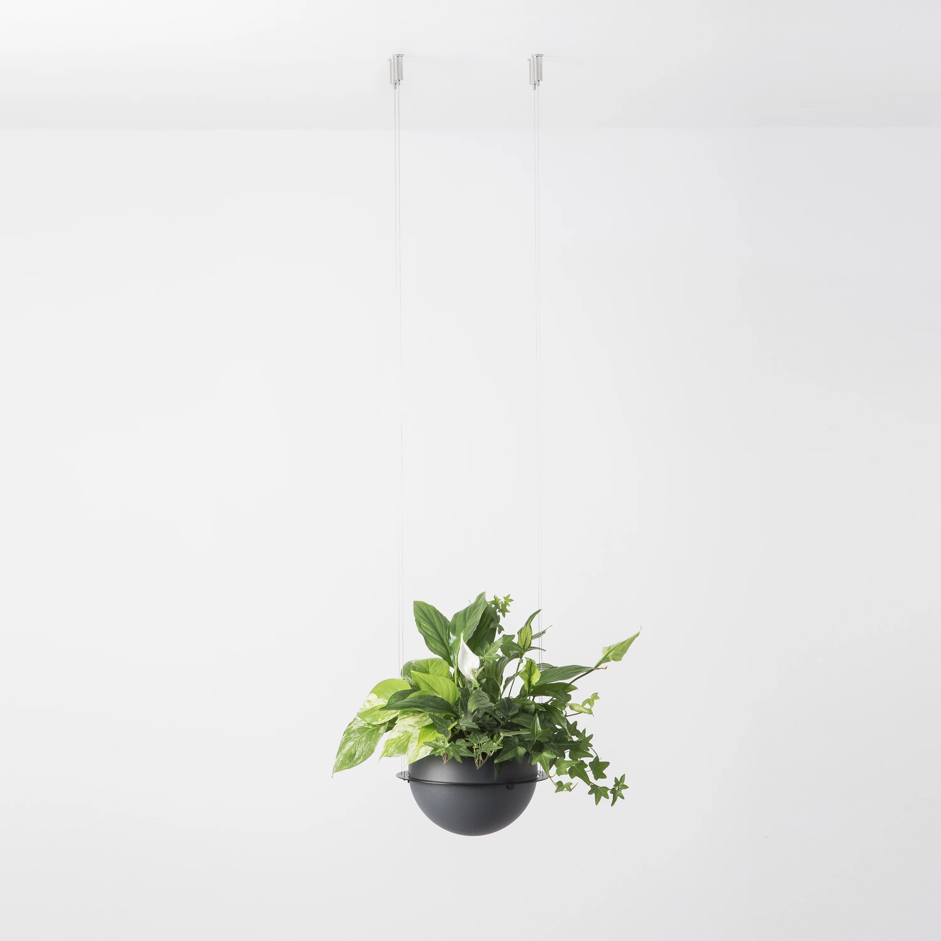 Circ Hanging Flower Pot - Image 4
