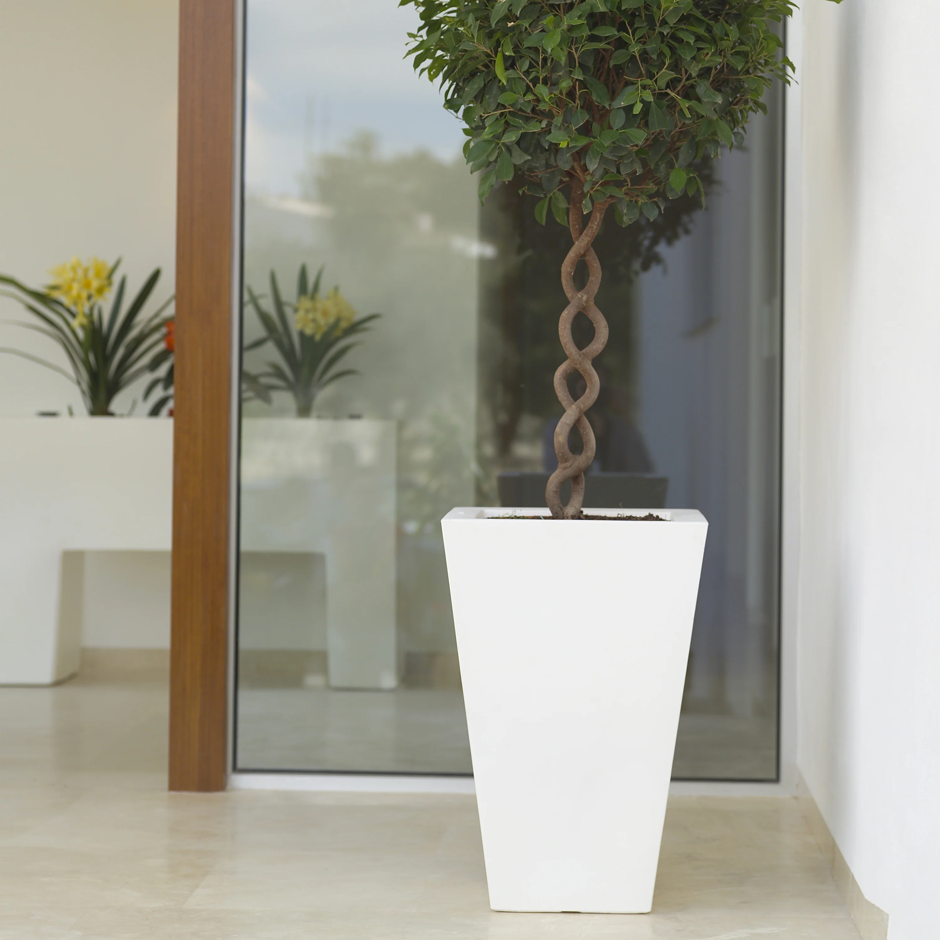 Cono Cuadrado Alto Planter - Image 16