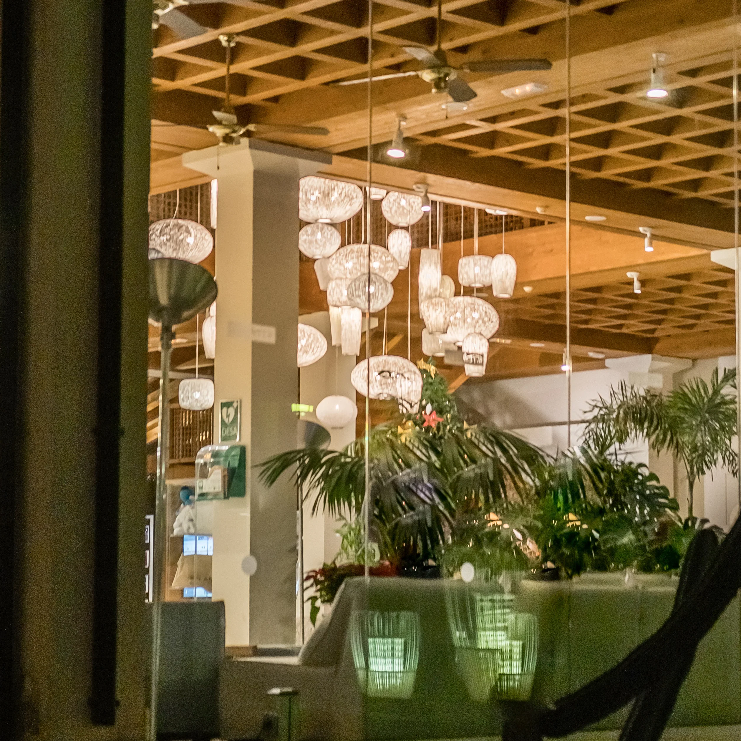 Coral Cay Pendant Light - Image 26