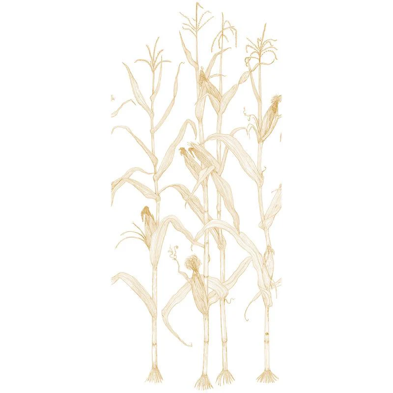 Corn Rows Wallpaper Sample Swatch - Image 18