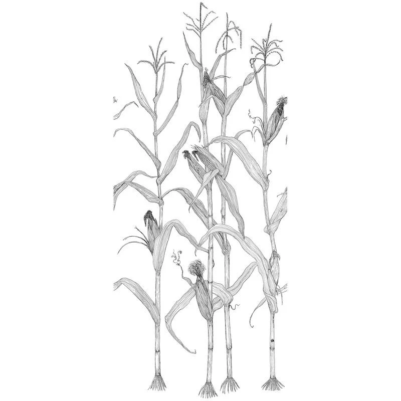 Corn Rows Wallpaper Sample Swatch - Image 2