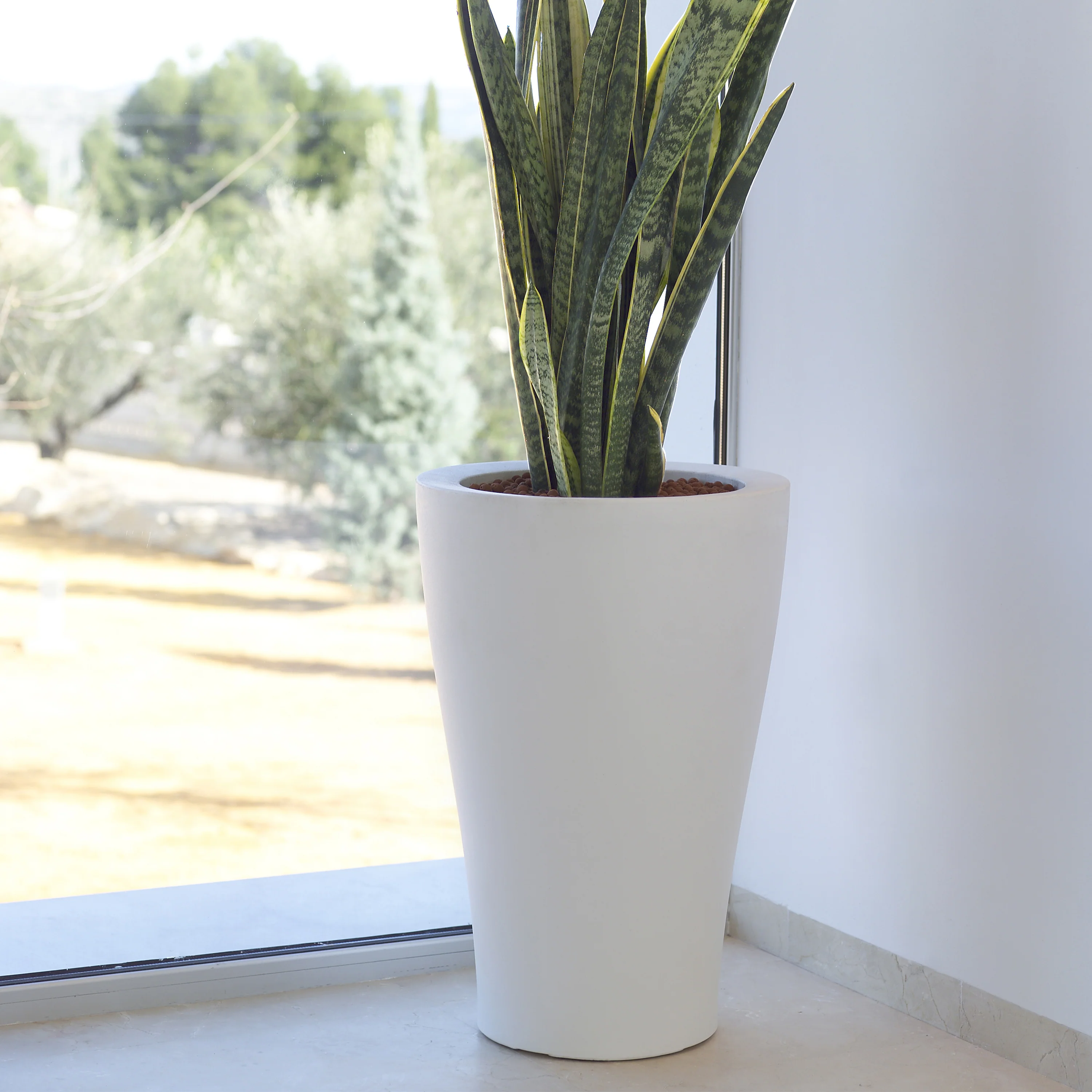 Curvada Planter - Image 36