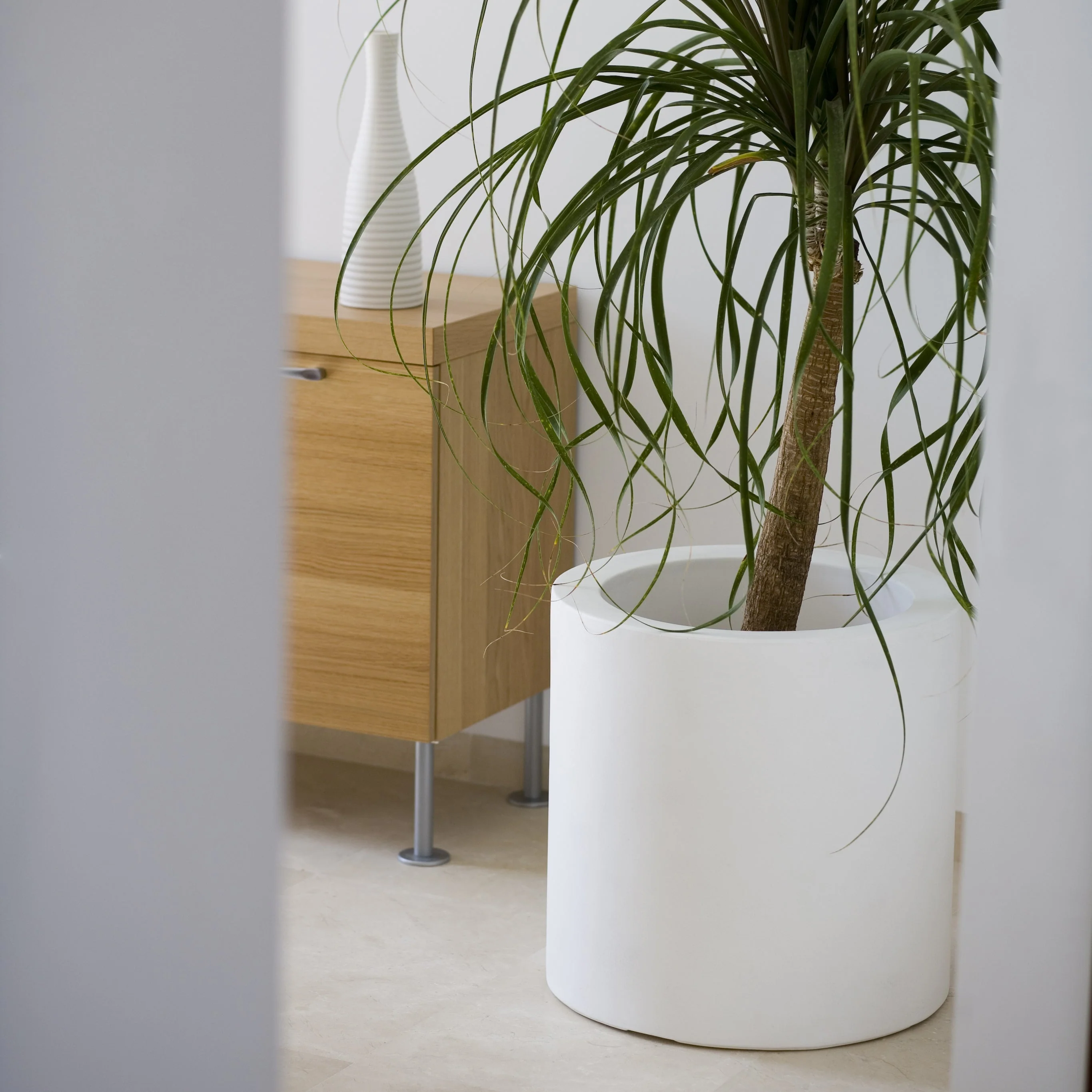 Cilindro Planter - Image 25