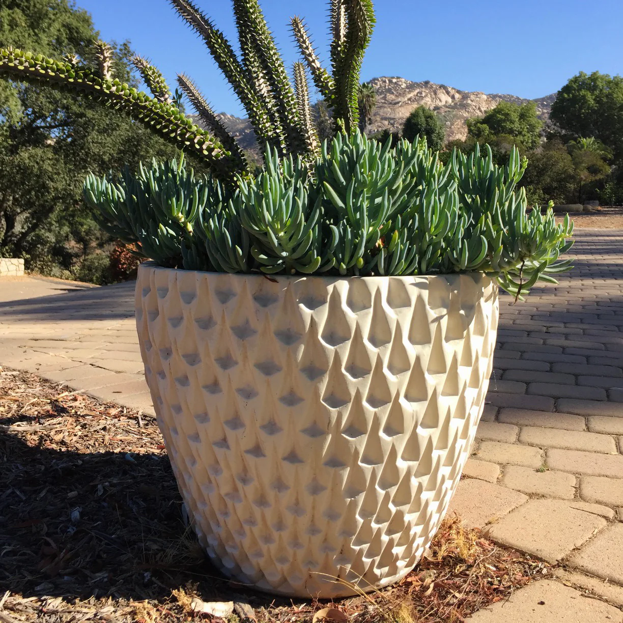 David Cressey Pineapple Planter - Image 11