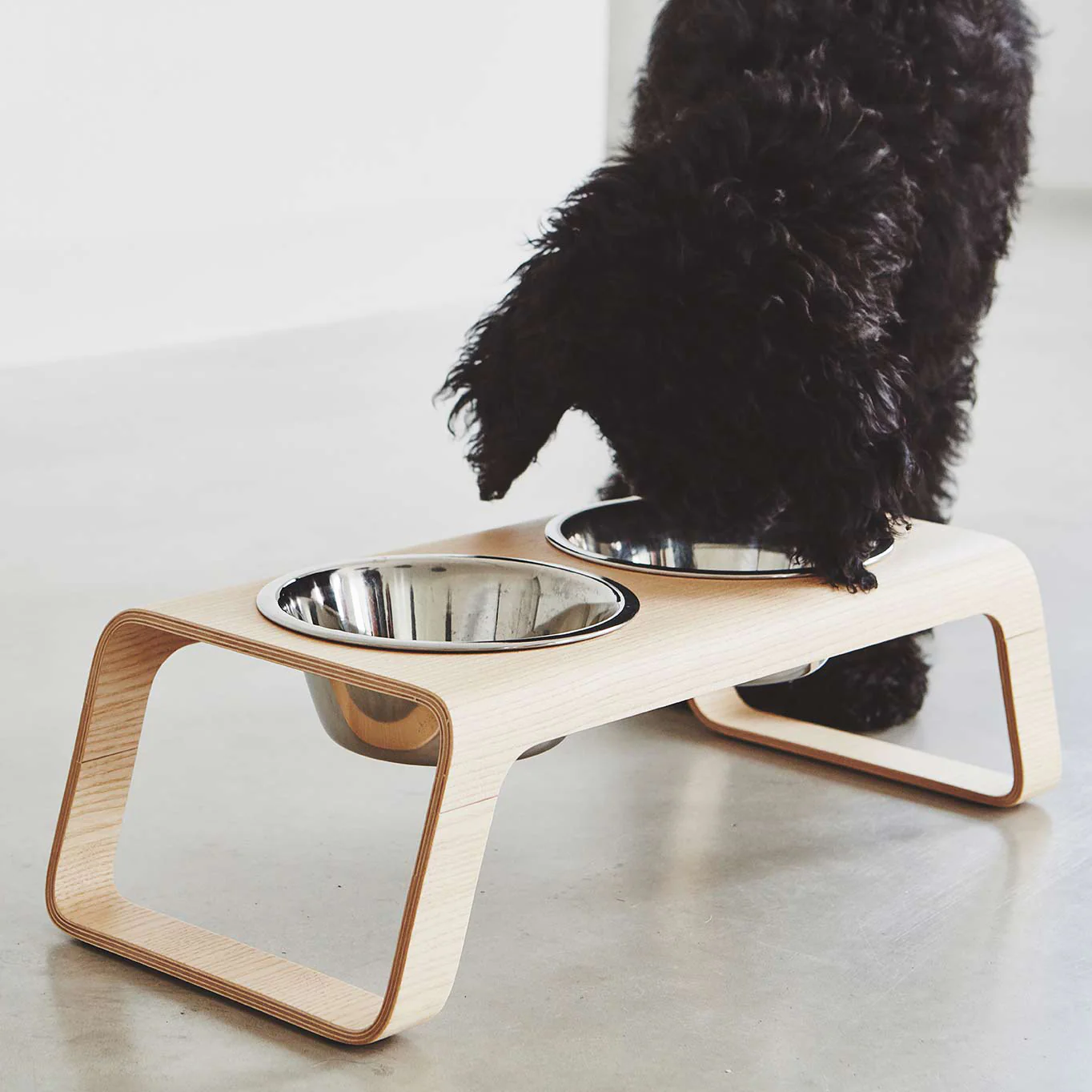 Desco Dog Feeder - Image 10