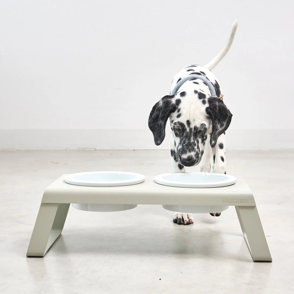 Desco Dog Feeder with Porcelain Bowl - Image 22