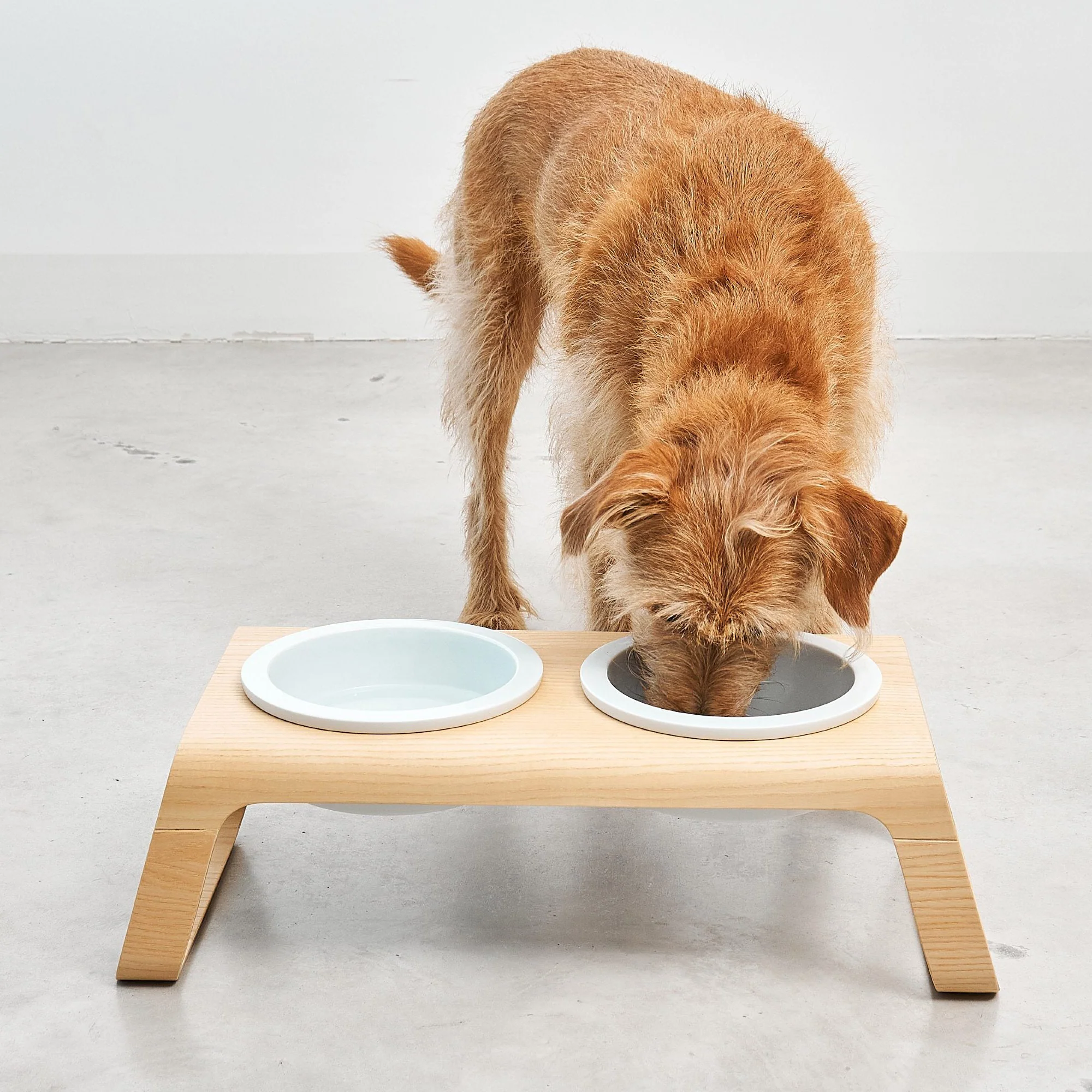 Desco Dog Feeder with Porcelain Bowl - Image 23