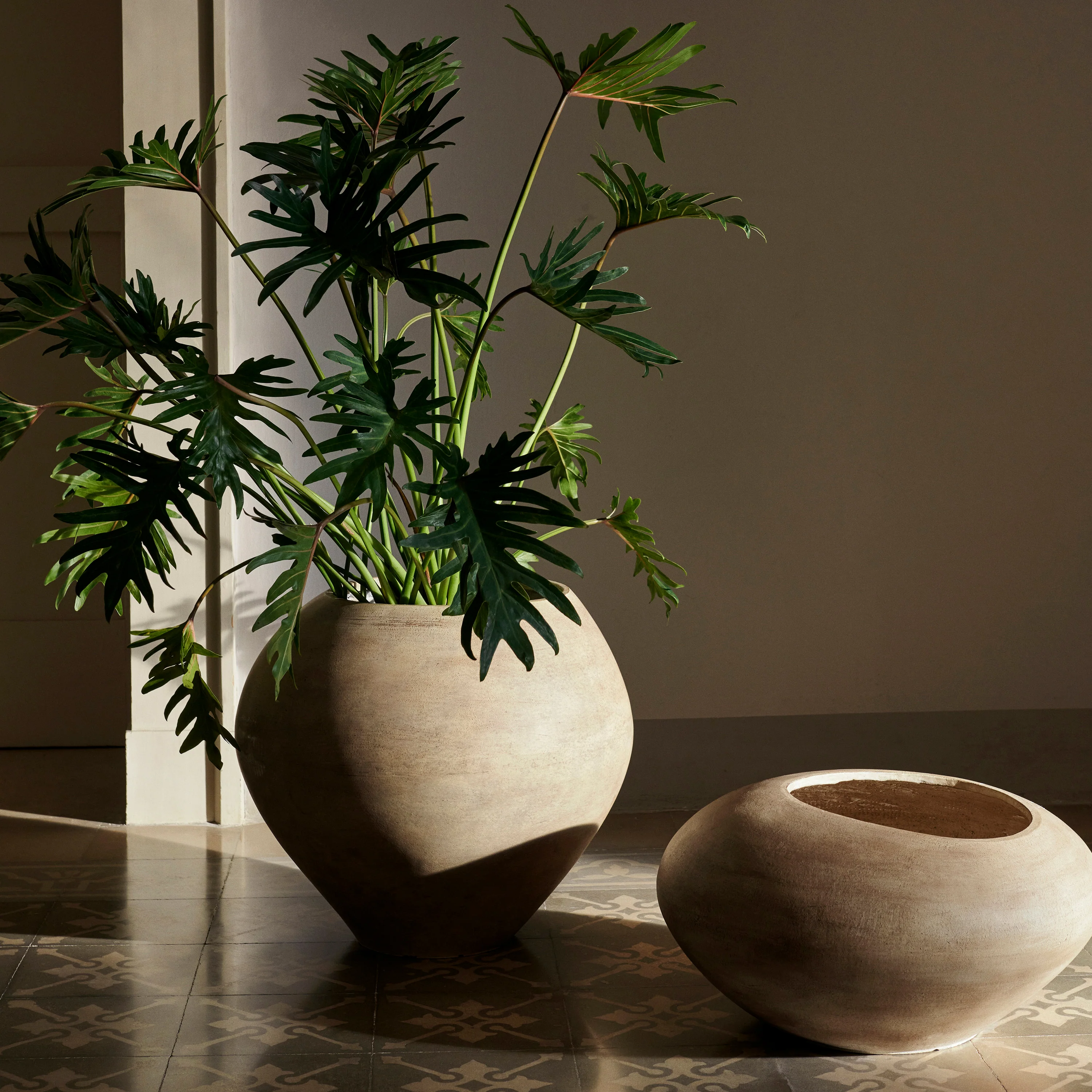 Dodu Pot - Image 6