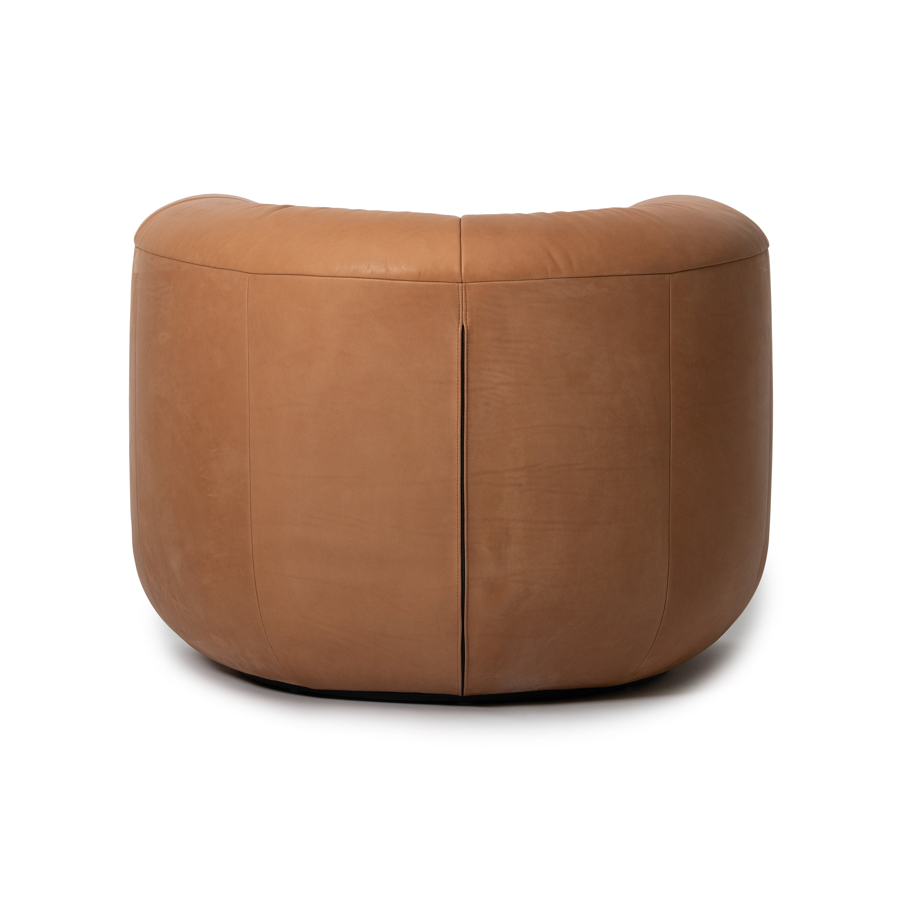 DS-707 Canada Armchair - Image 8