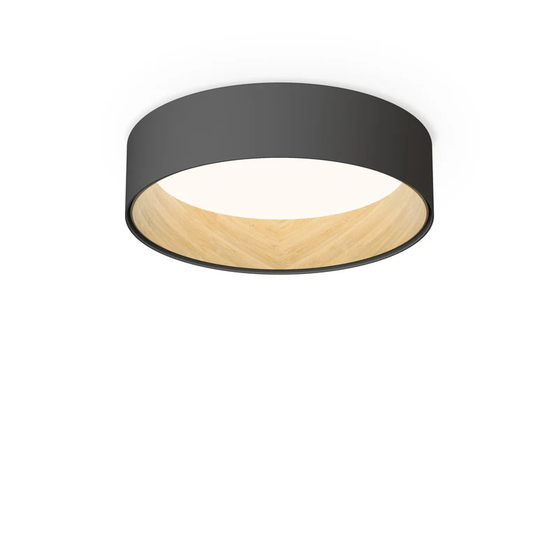 Duo Flush Mount - Image 3