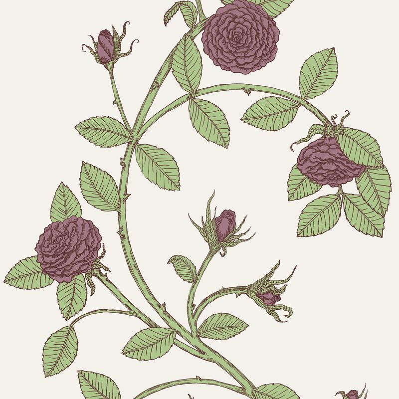 Elva Rose Wallpaper Sample Swatch - Image 34