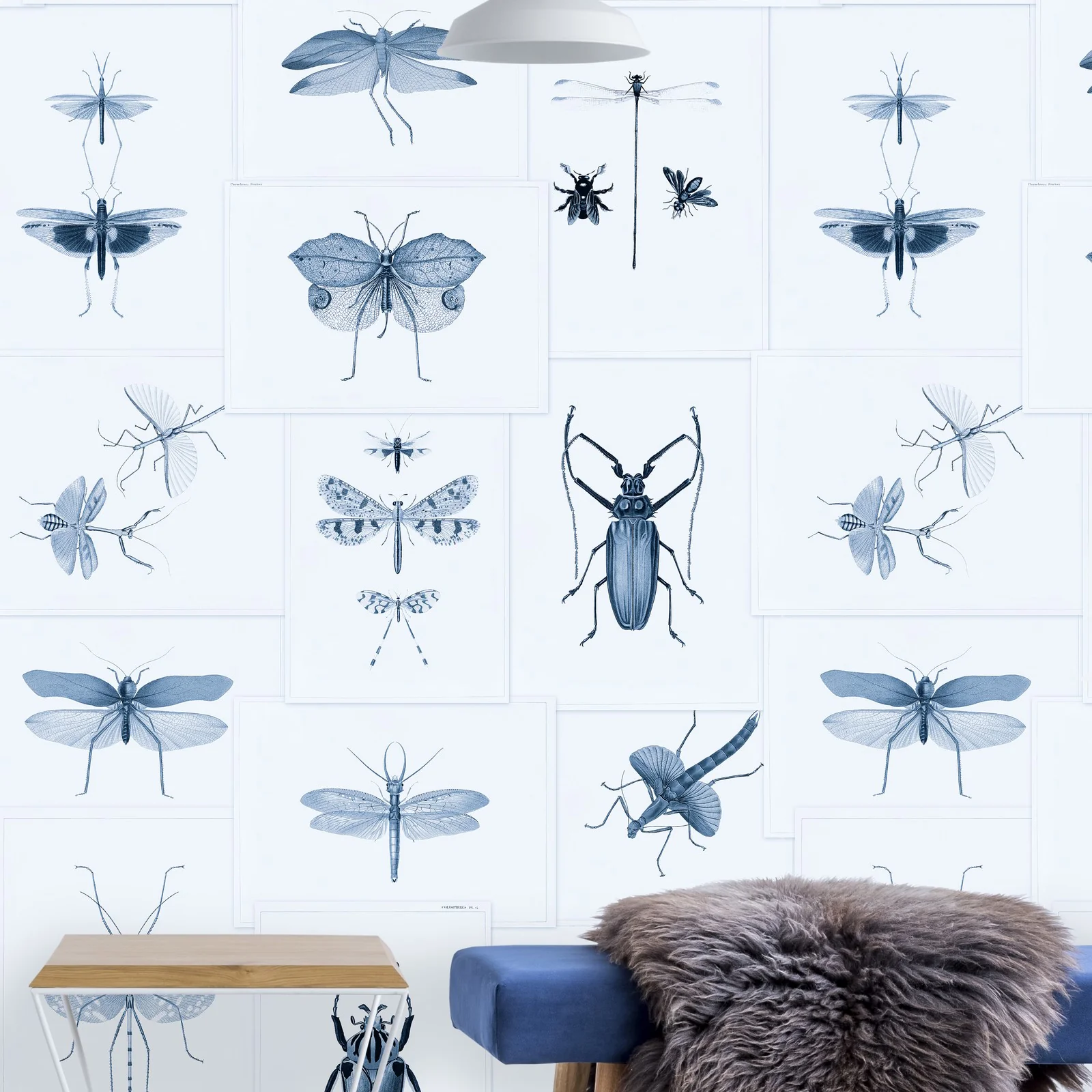 Entomology Wallpaper - Image 14