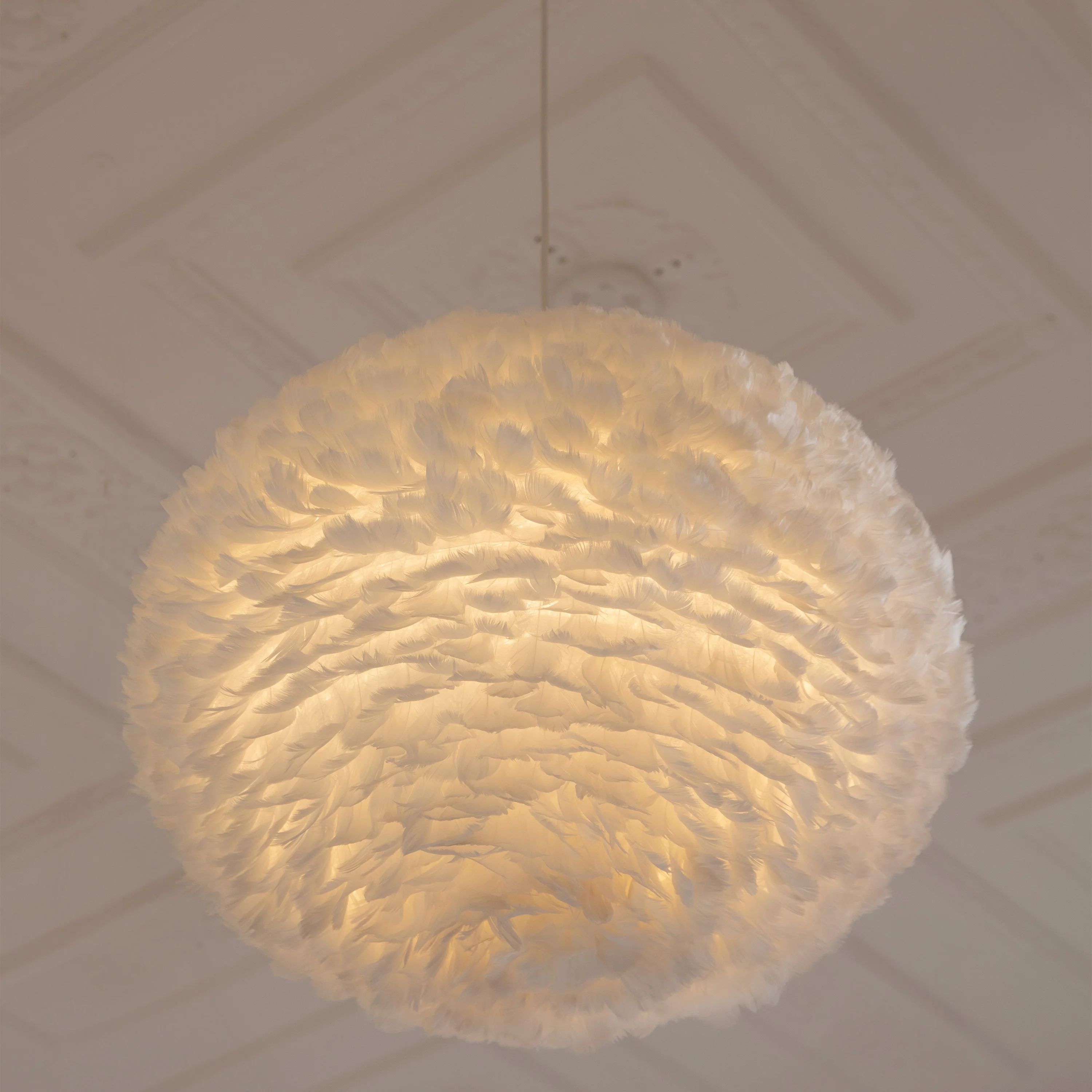 Eos Pendant Light - Image 48