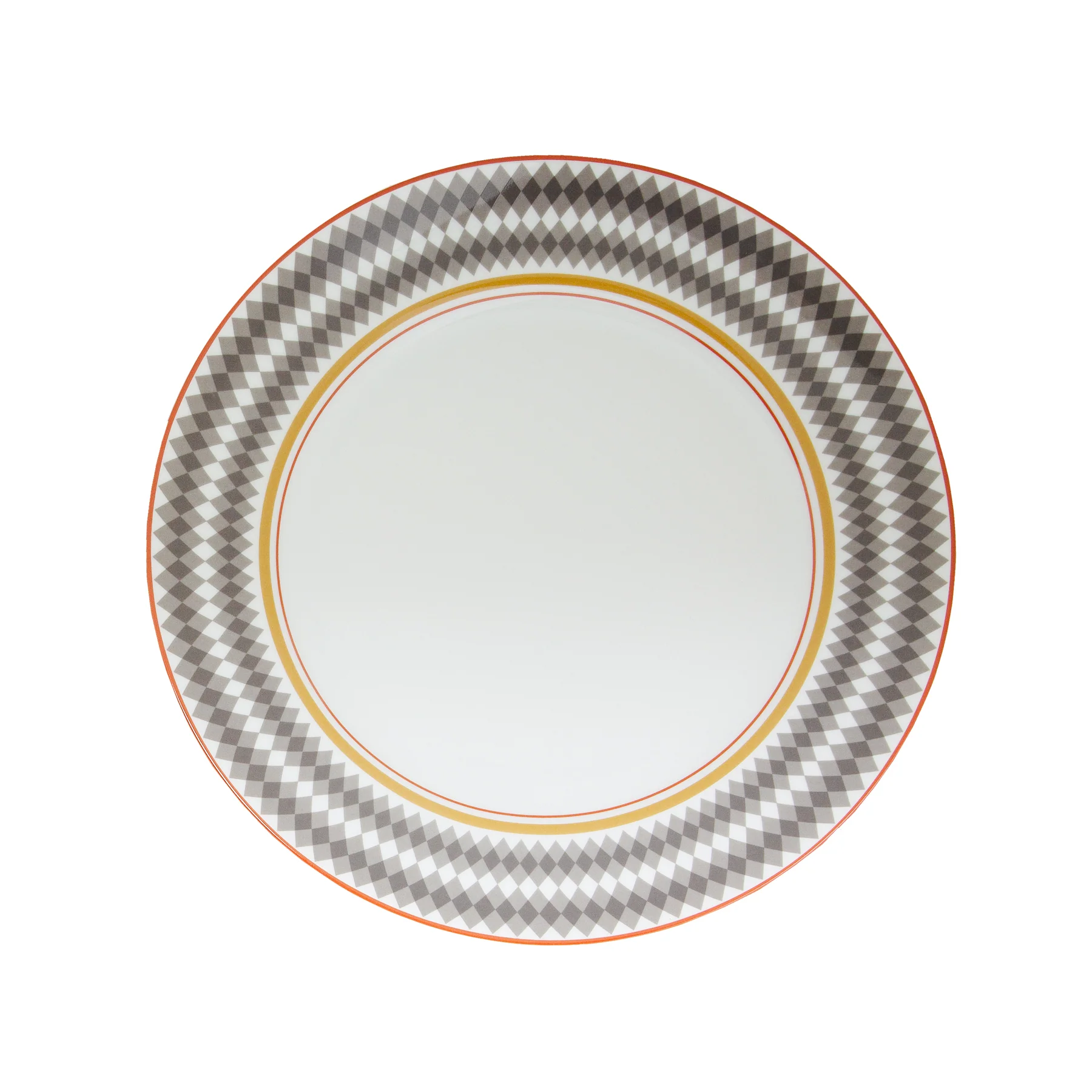 Evolution Dinner Plate (Set of 4) - Image 4