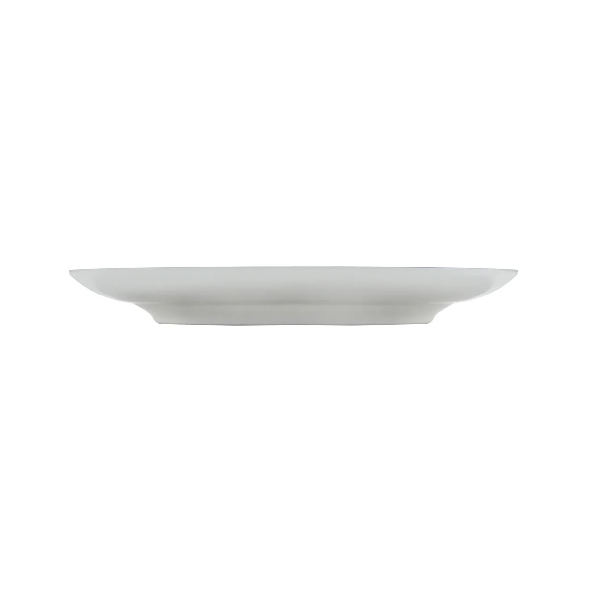 Evolution Dinner Plate (Set of 4) - Image 6