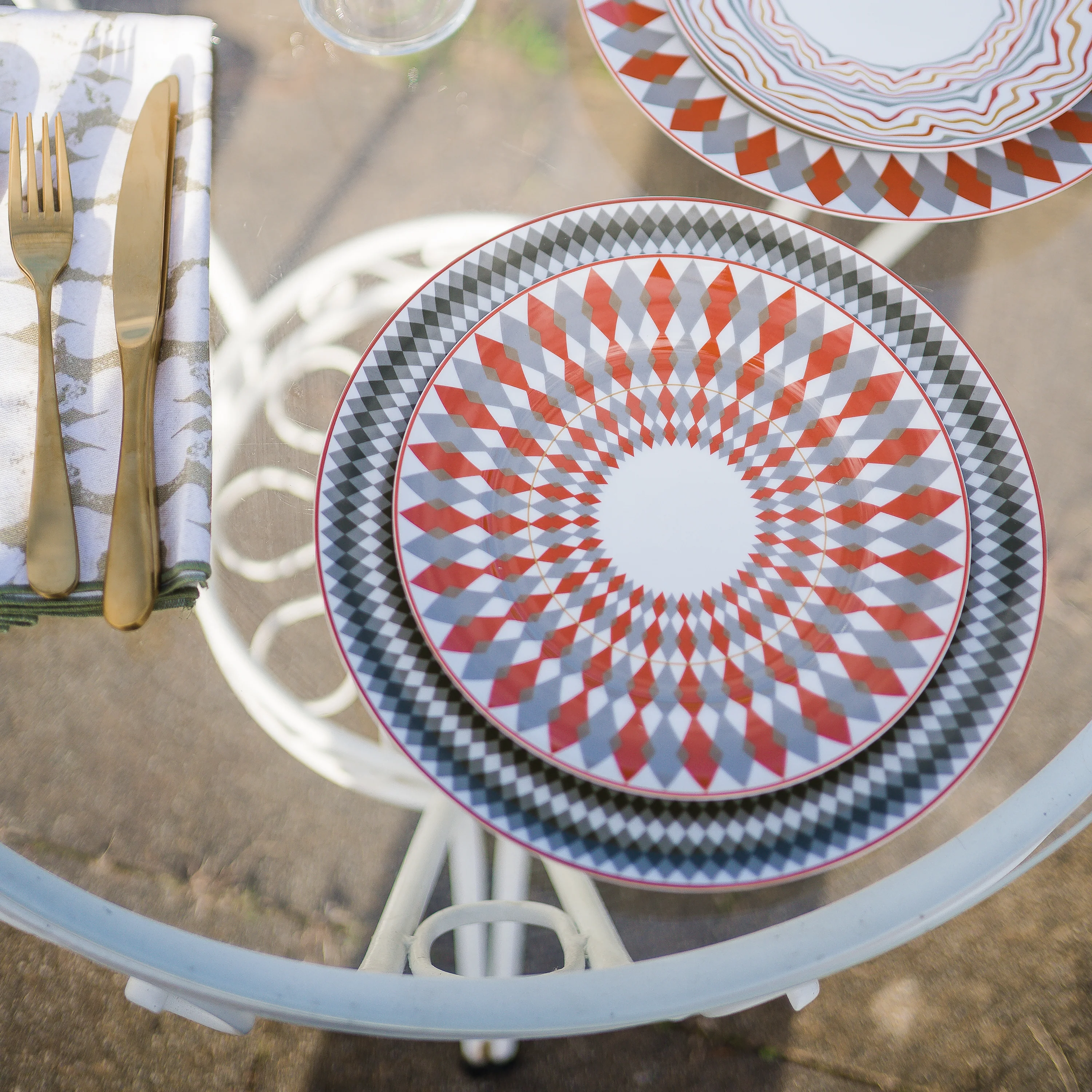 Evolution Dinner Plate (Set of 4) - Image 9