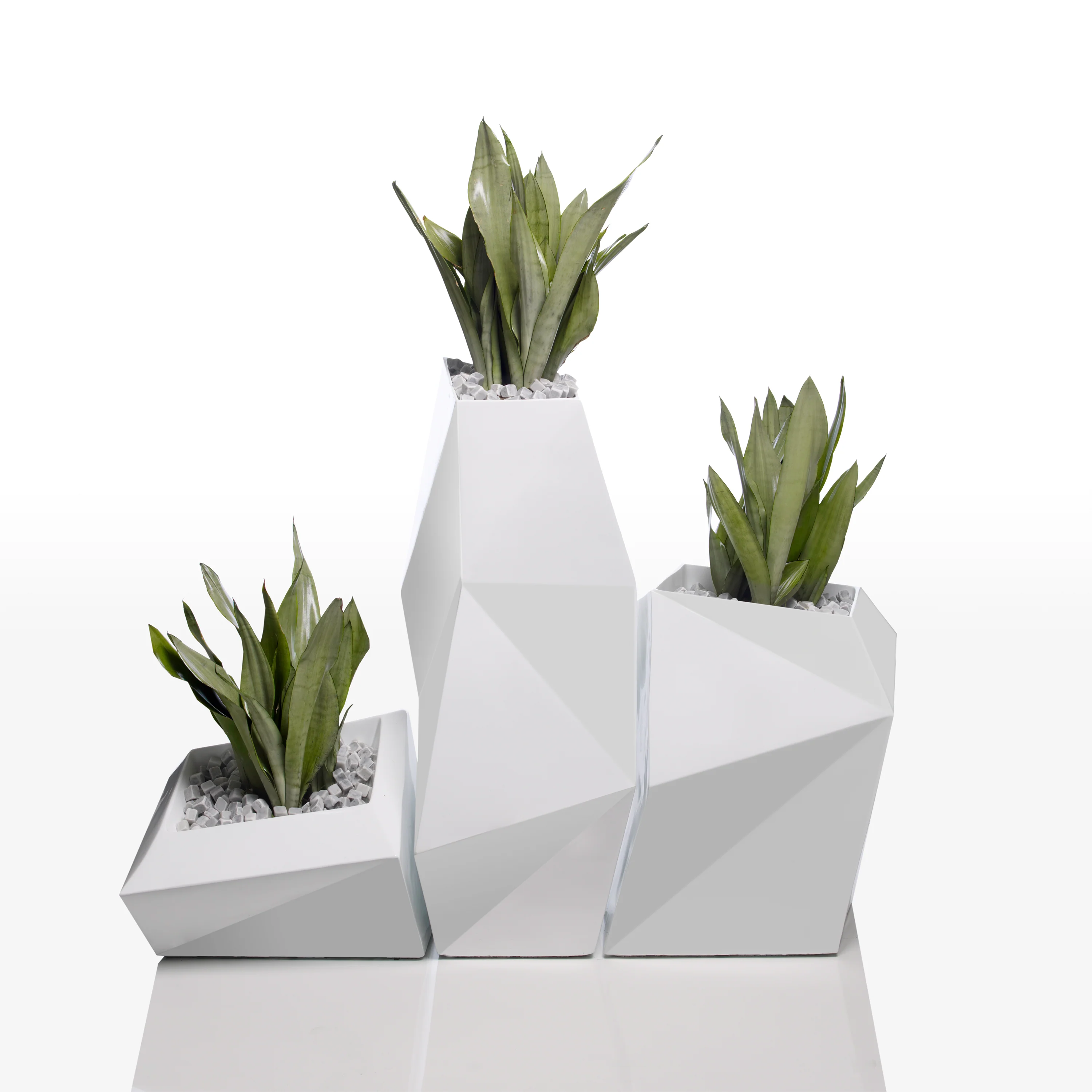 Faz XL Planter - Image 22