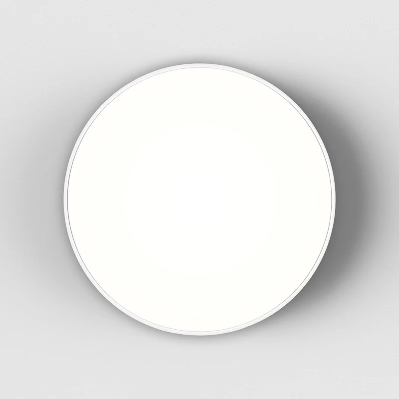 Febe Ceiling / Wall Light - Image 5