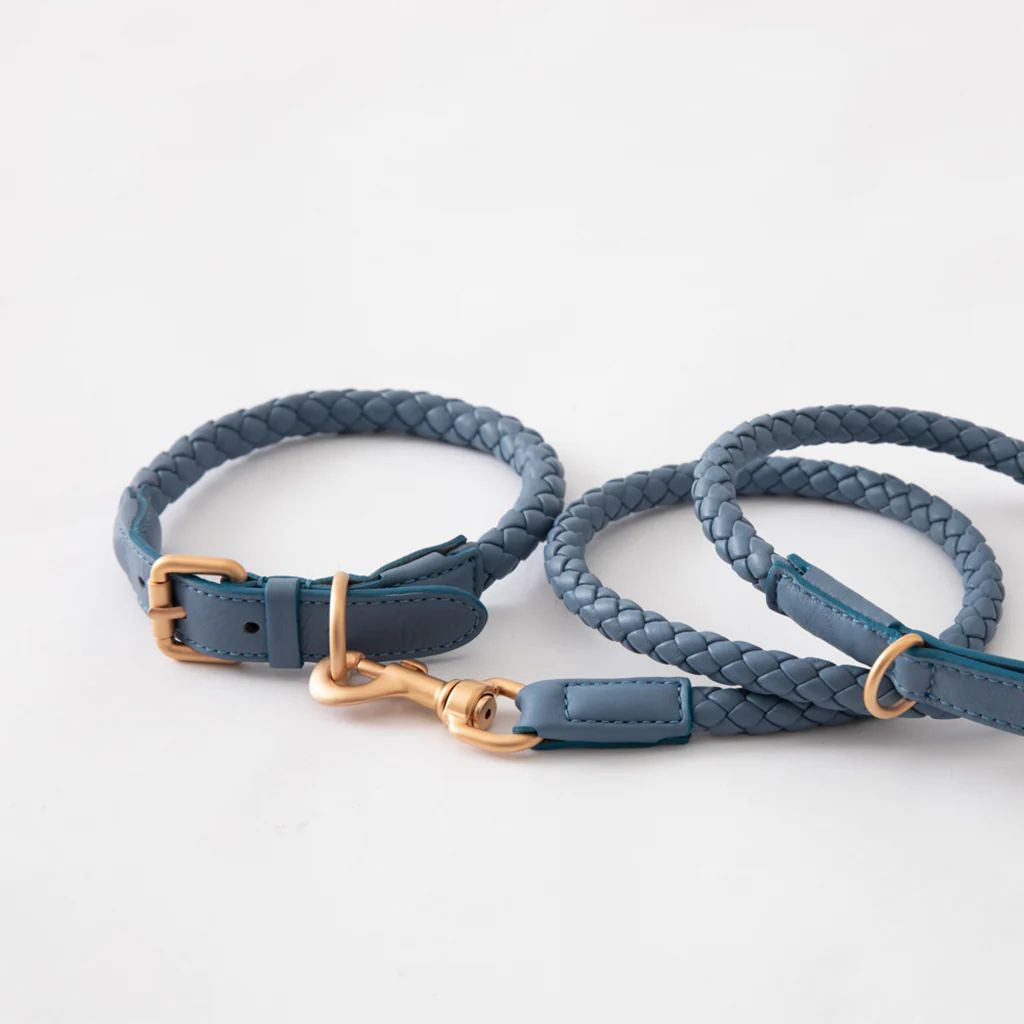 Ferdinando Dog Collar Set - Image 12