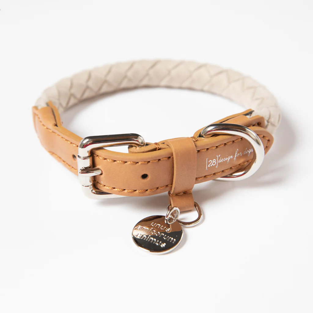 Ferdinando Microfiber Dog Collar Set - Image 3